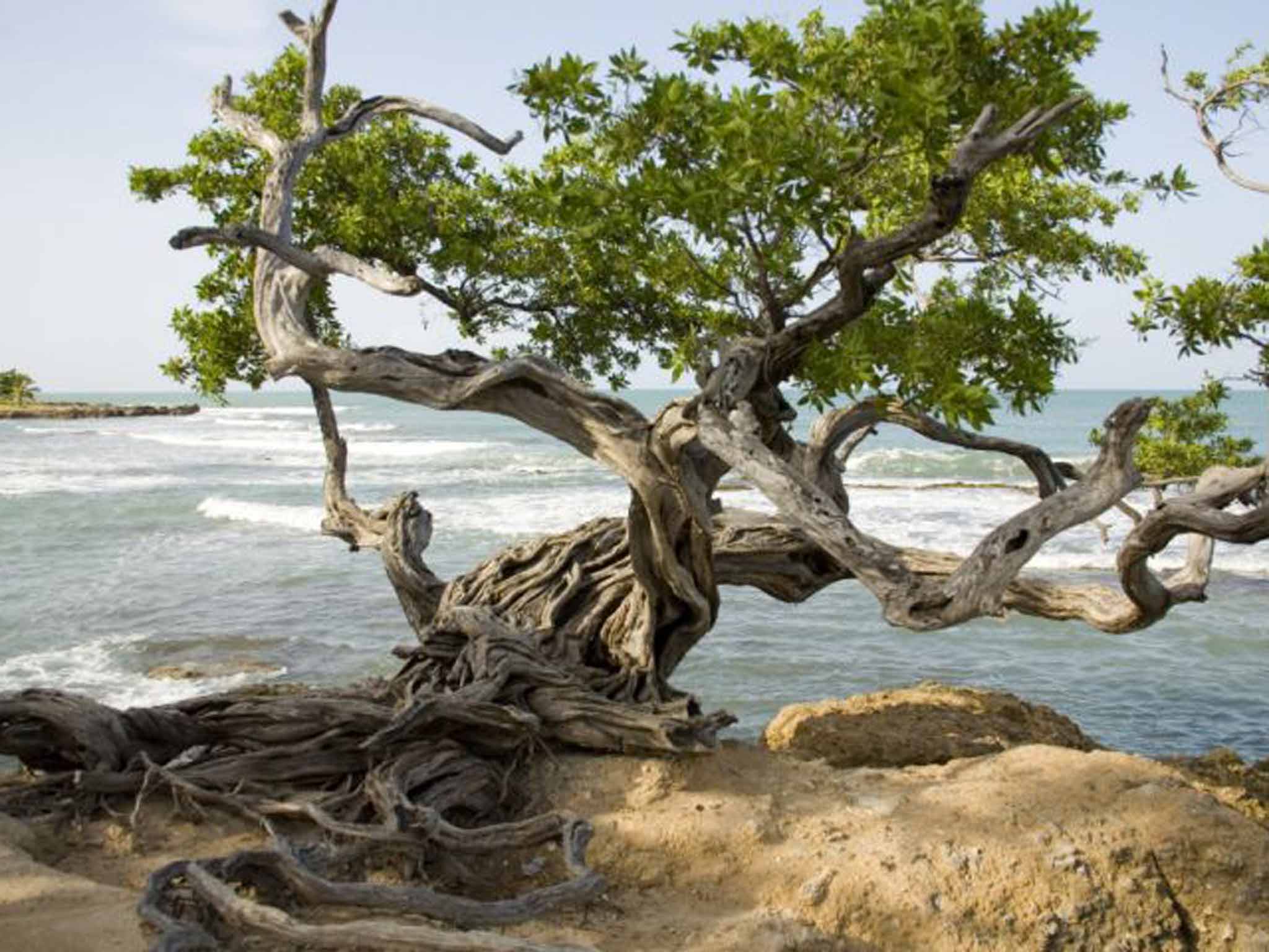 Treasure Beach in Jamaica