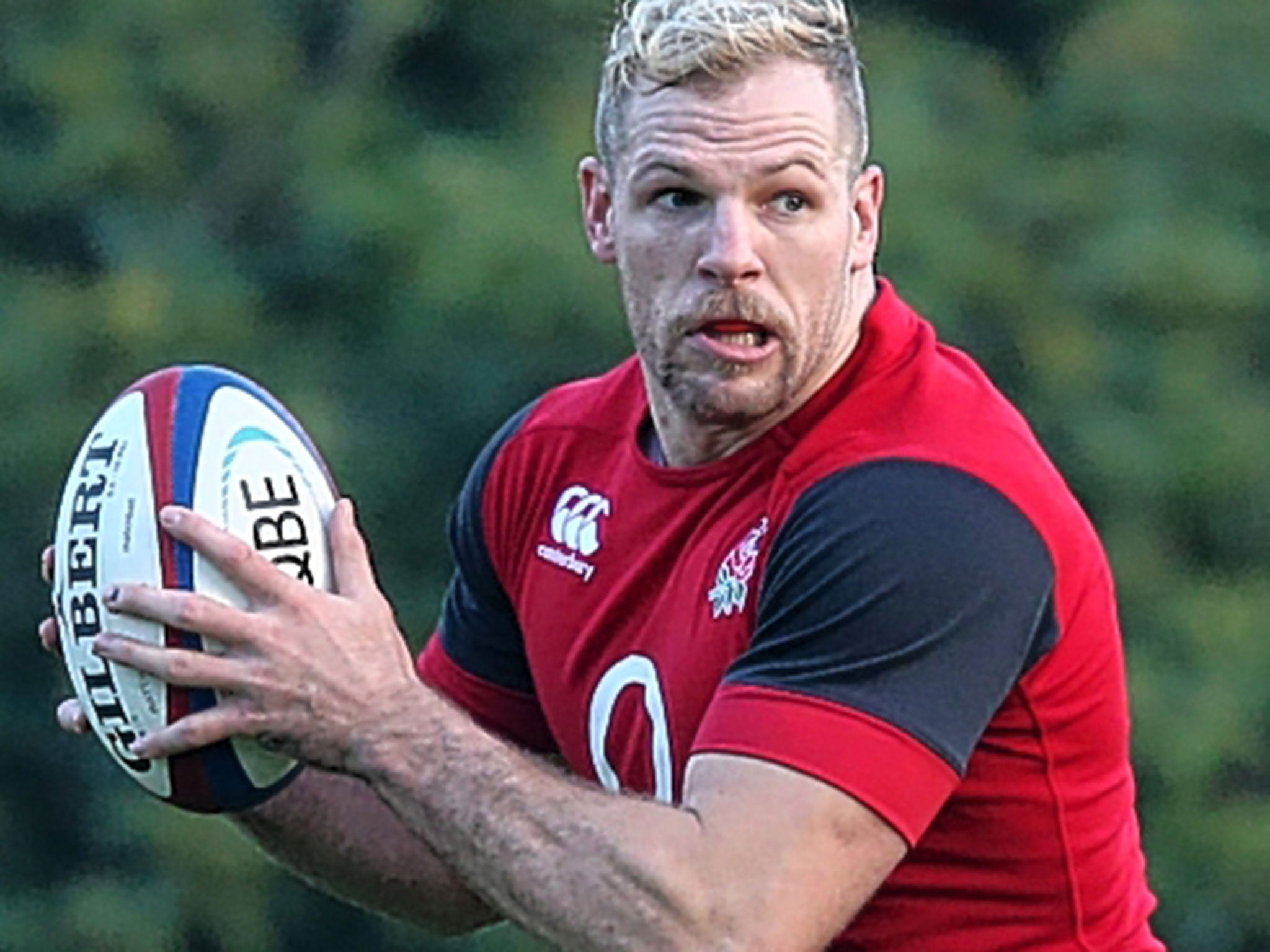 James Haskell has 51 caps and is a known quantity – England could have experimented