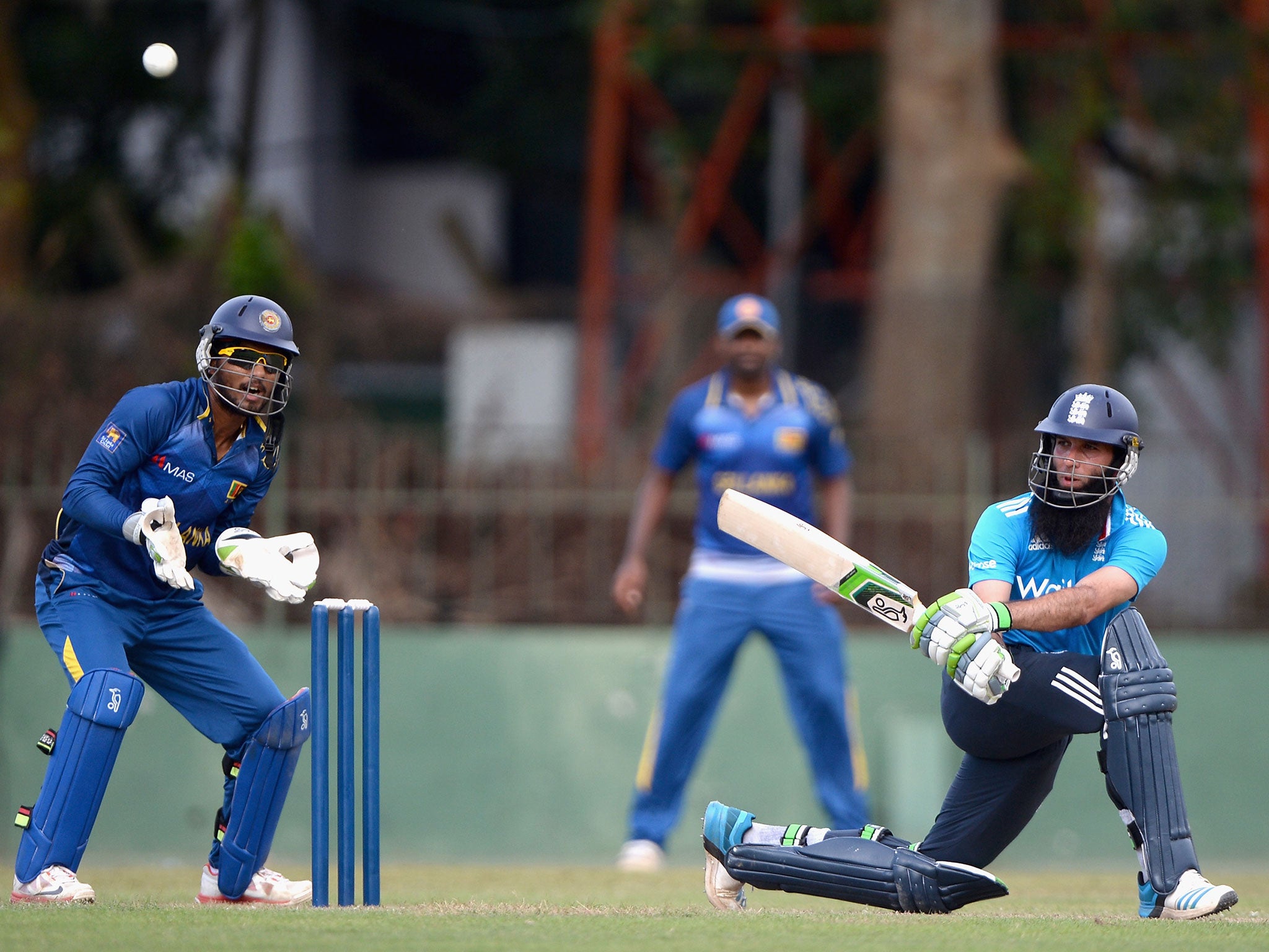 Moeen Ali hit a 21-ball half-century on his way to 56