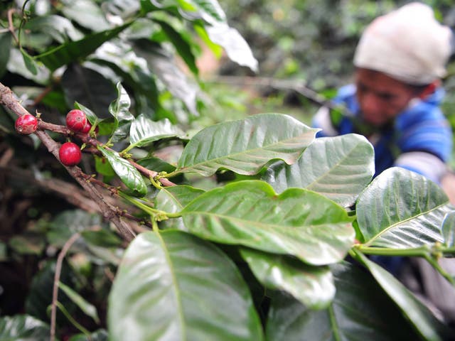 The NSC works to improve trade links with and social justice in the Central American nation