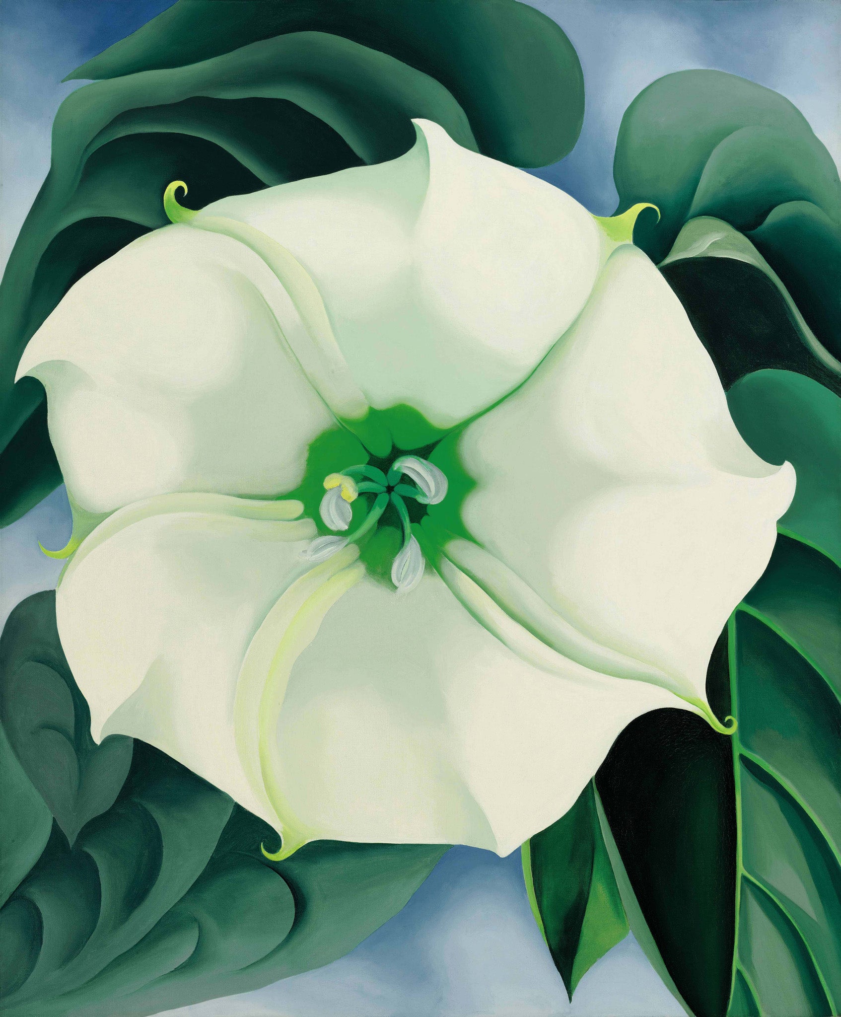 ‘Jimson Weed/White Flower No 1’ by Georgia O’Keeffe, 1936