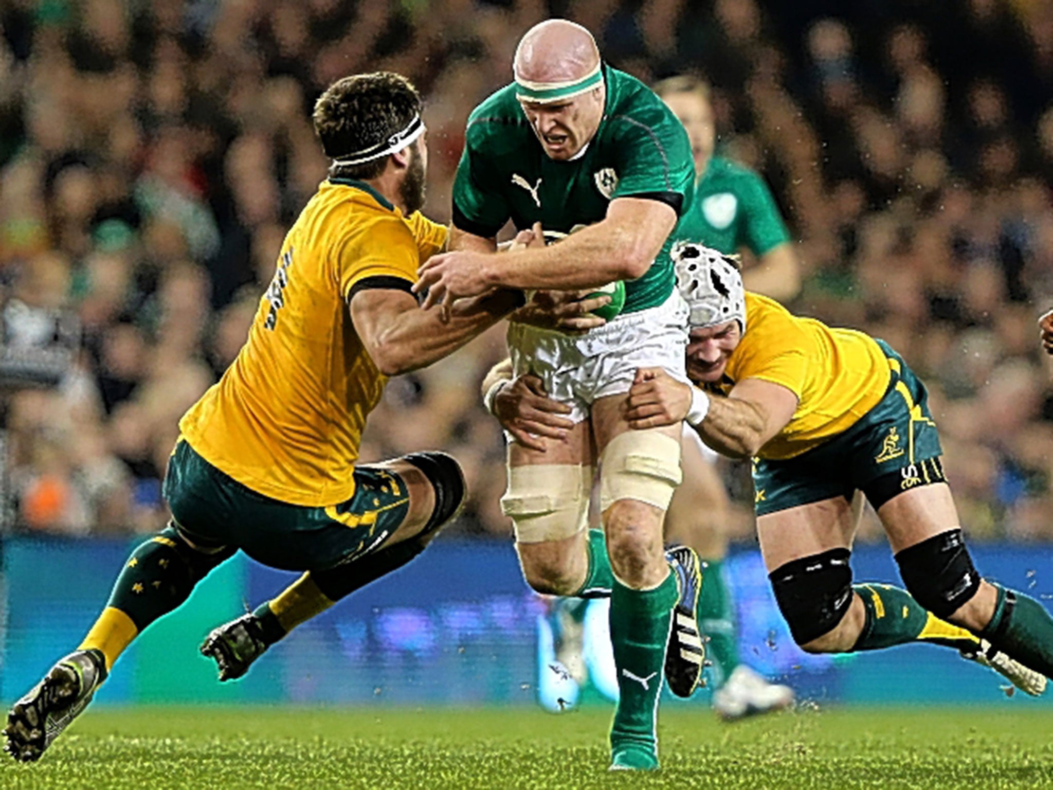 Paul O’Connell says Ireland were beaten physically in last year’s defeat to Australia