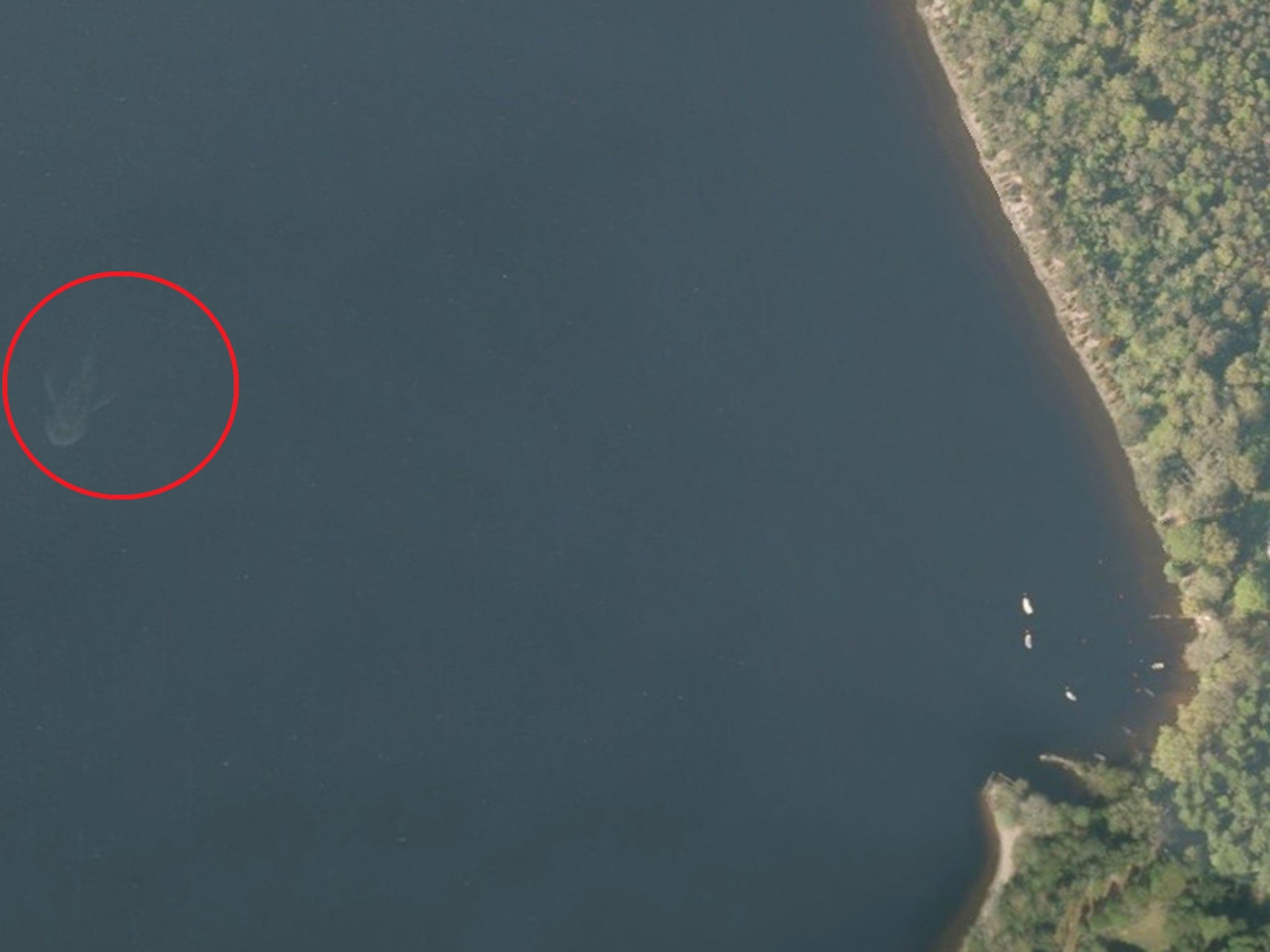 A satellite image of a mysterious object (circled) in Loch Ness.
It was later revealed to be a boat