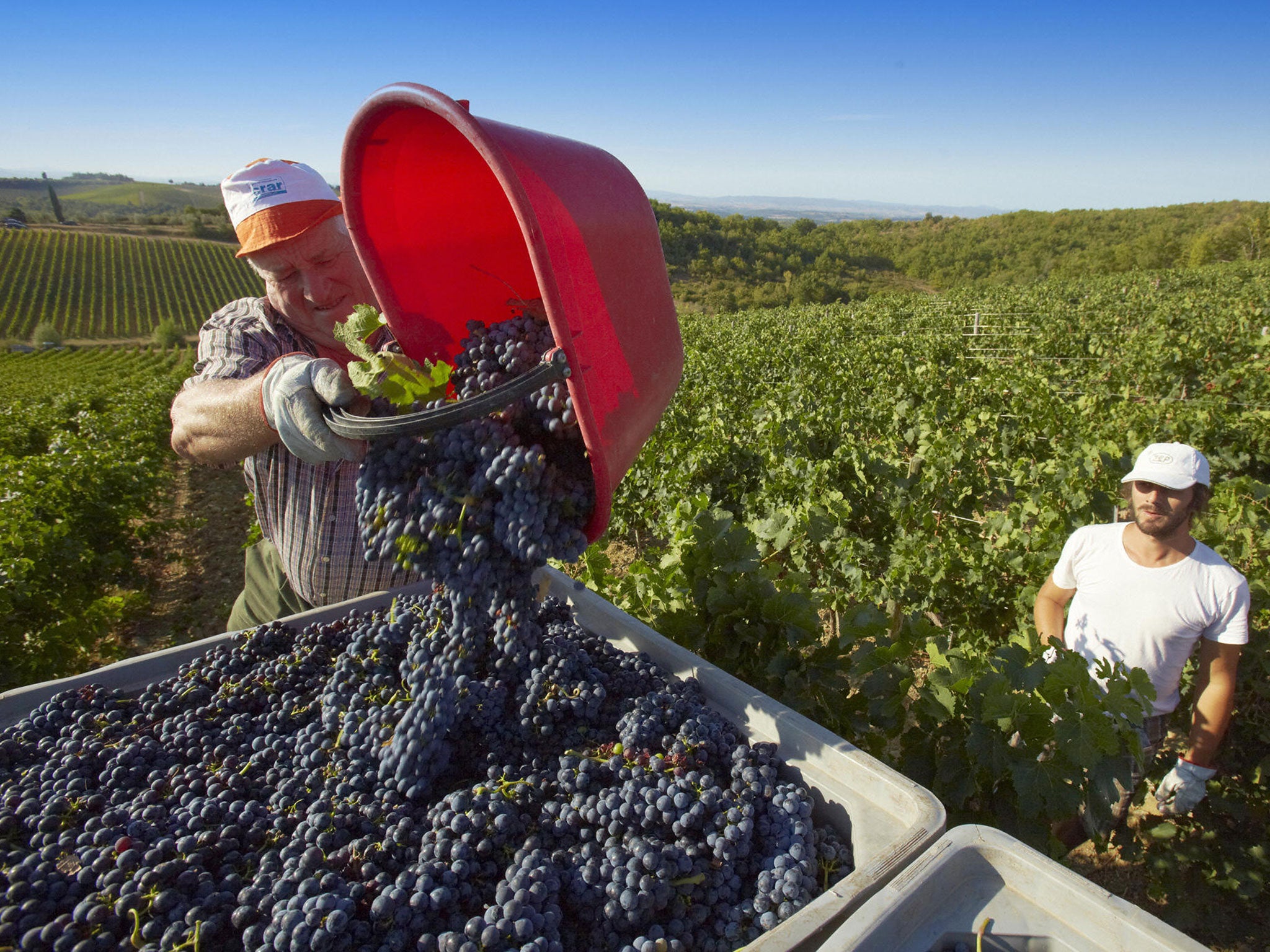Small winemakers say the restriction makes it hard to sell overseas
