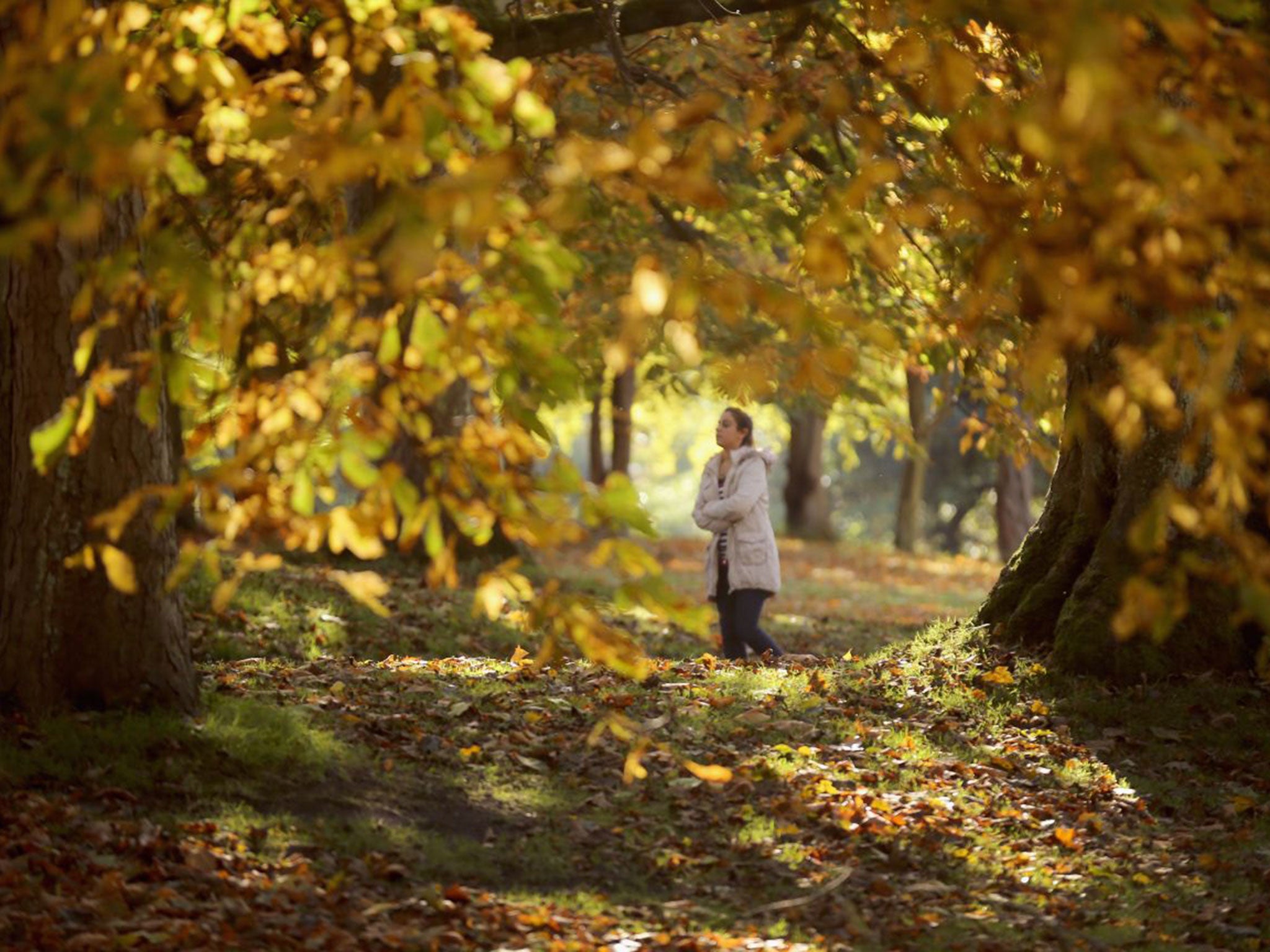 Liverpool's Sefton Park covers 300 acres