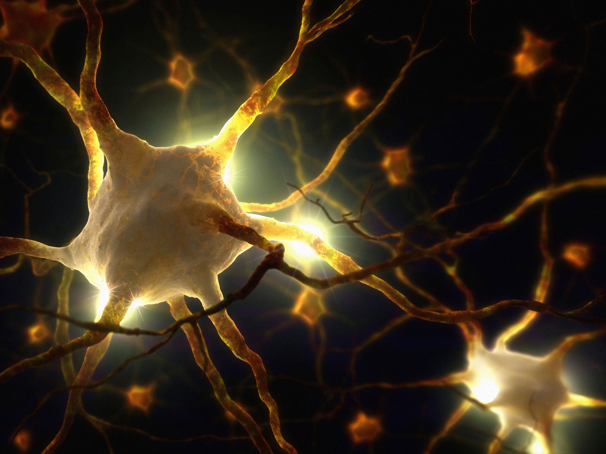 'Pain in a dish': Scientists create living model of human nerve cells