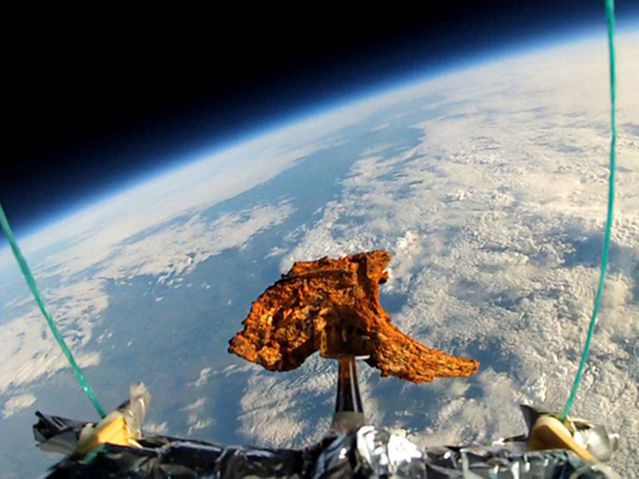 A lamb chop which was sent into space