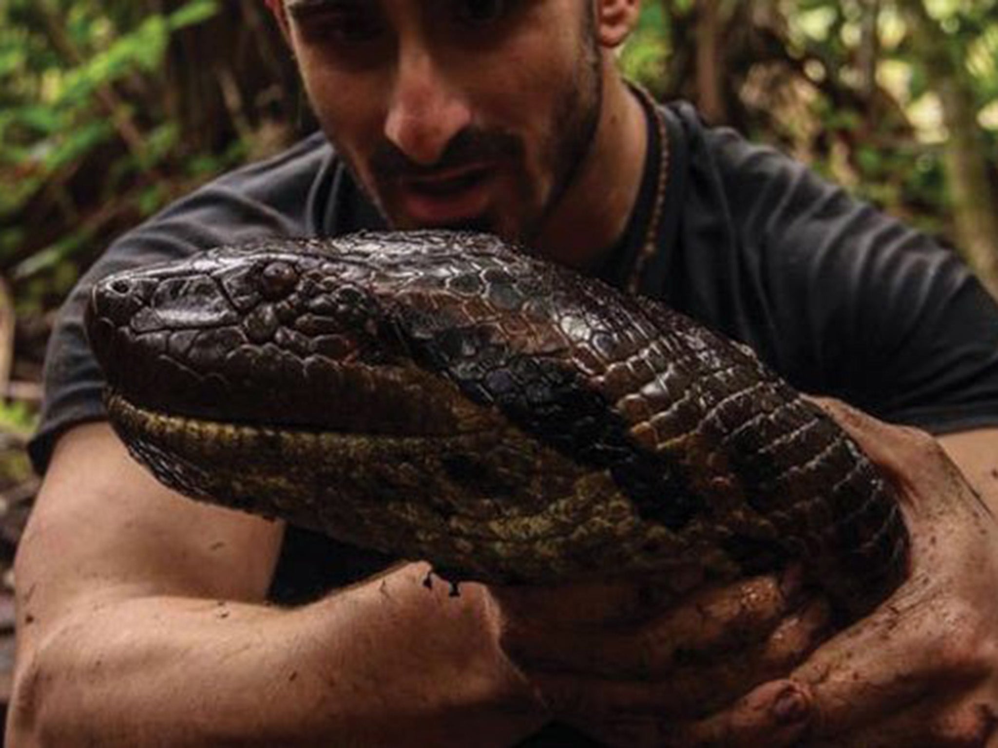 What Jimmy Kimmel asks Paul Rosolie to do is infinitely worse than being  eaten alive by an anaconda on TV | The Independent | The Independent