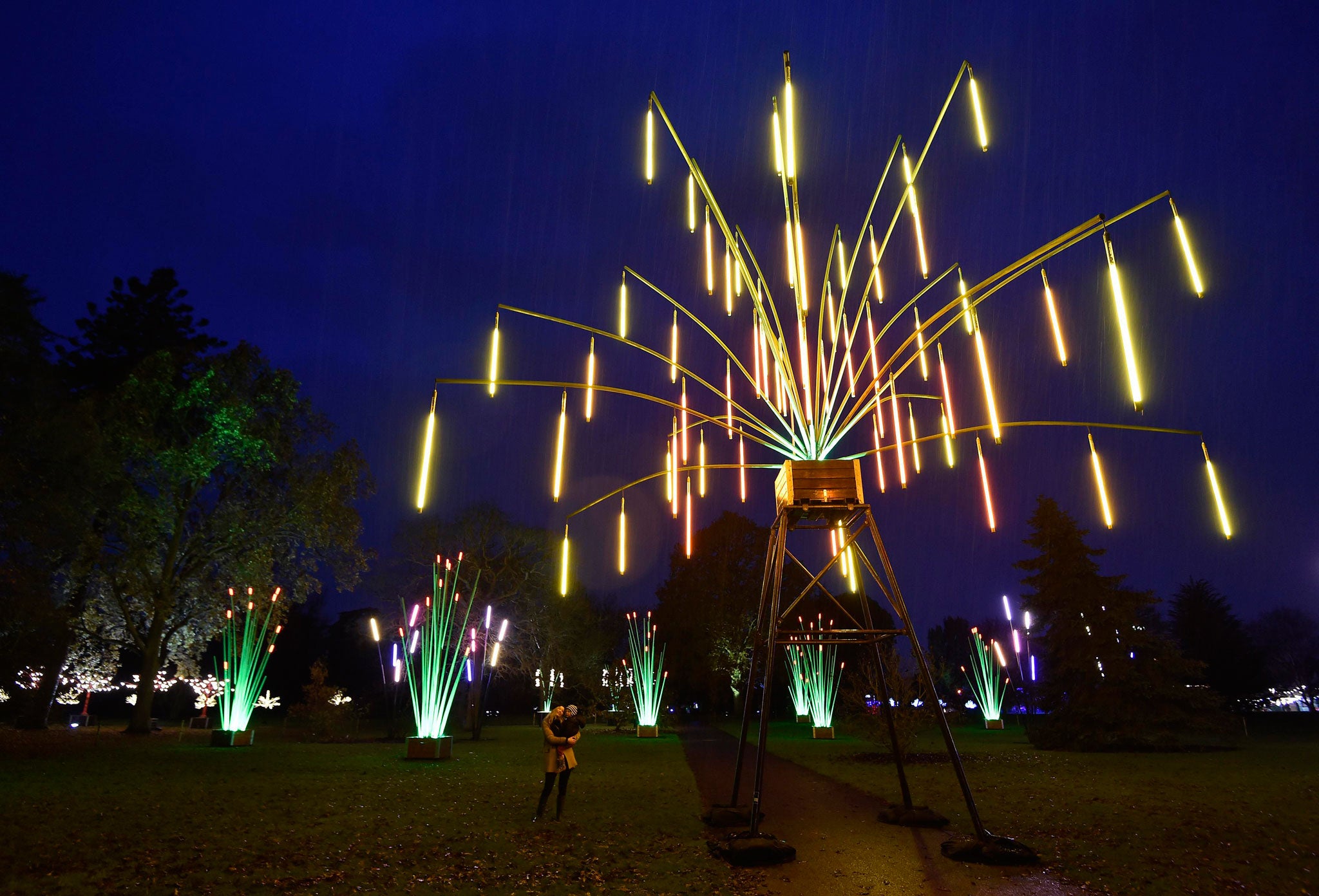 Light fantastic: Kew's Winter Wonderland