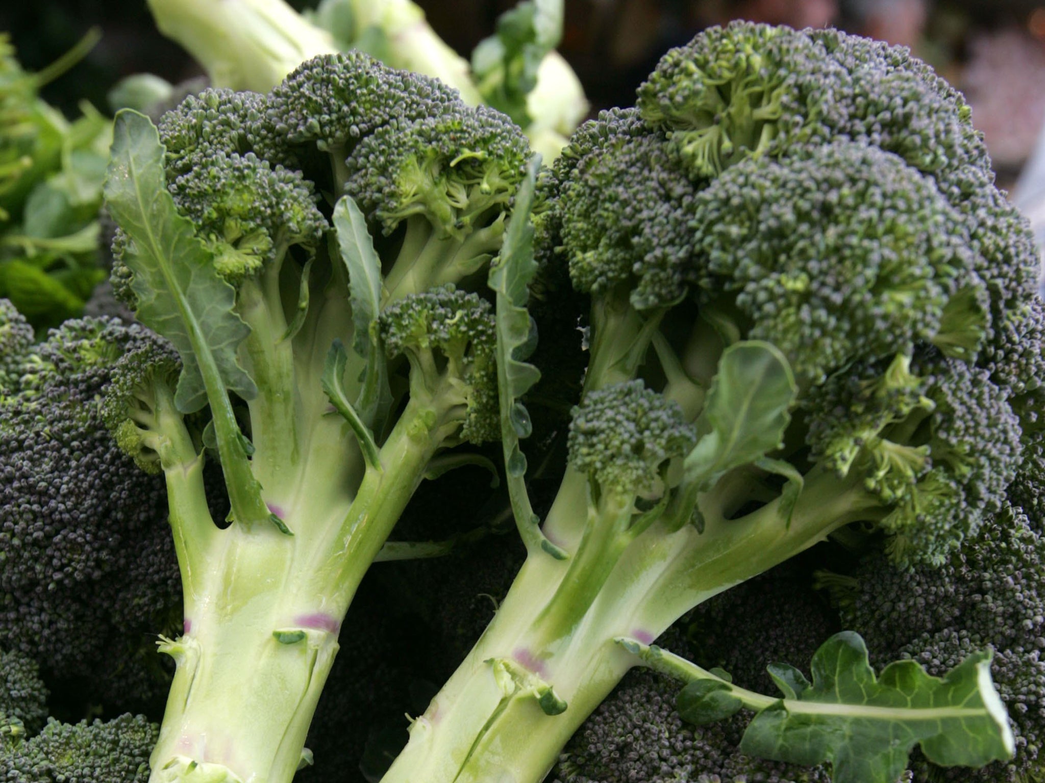 Campaigners are worried about pool-scented chicken chunks served with flavorless sides of bionic broccoli if the TTIP trade deal goes ahead