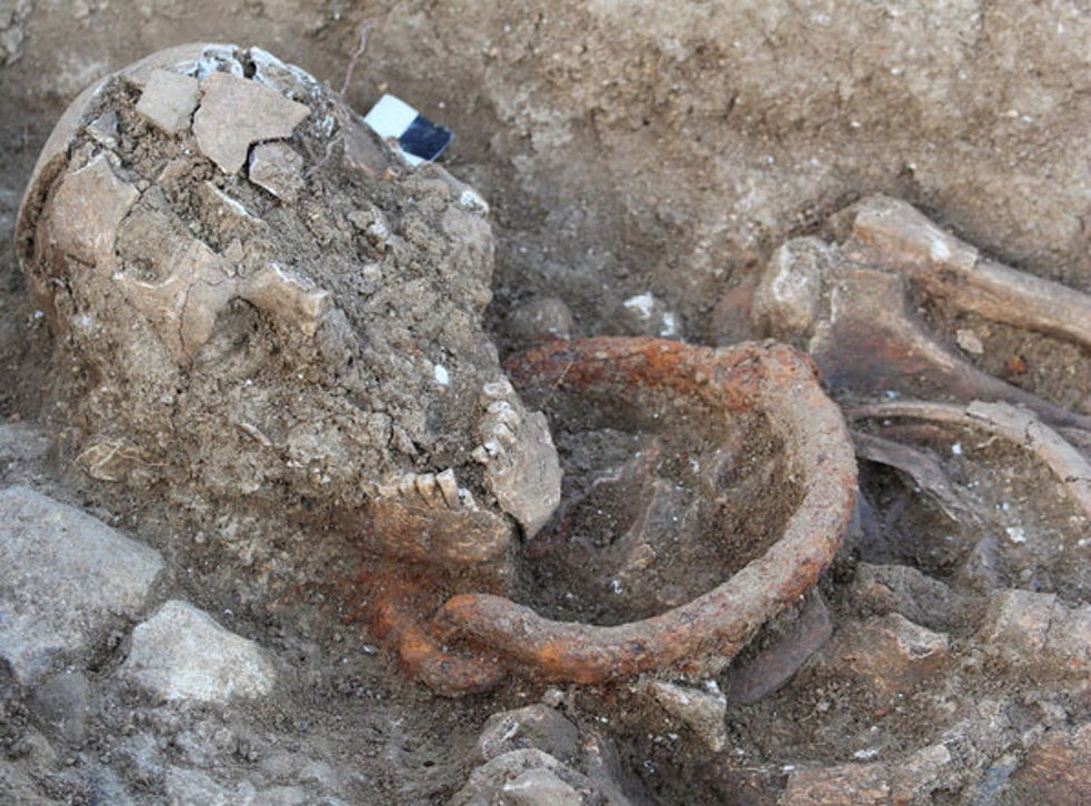  An image of an archaeological dig site with the skeletons of a mother, child, and horse, as well as grave goods including an iron horse bit.