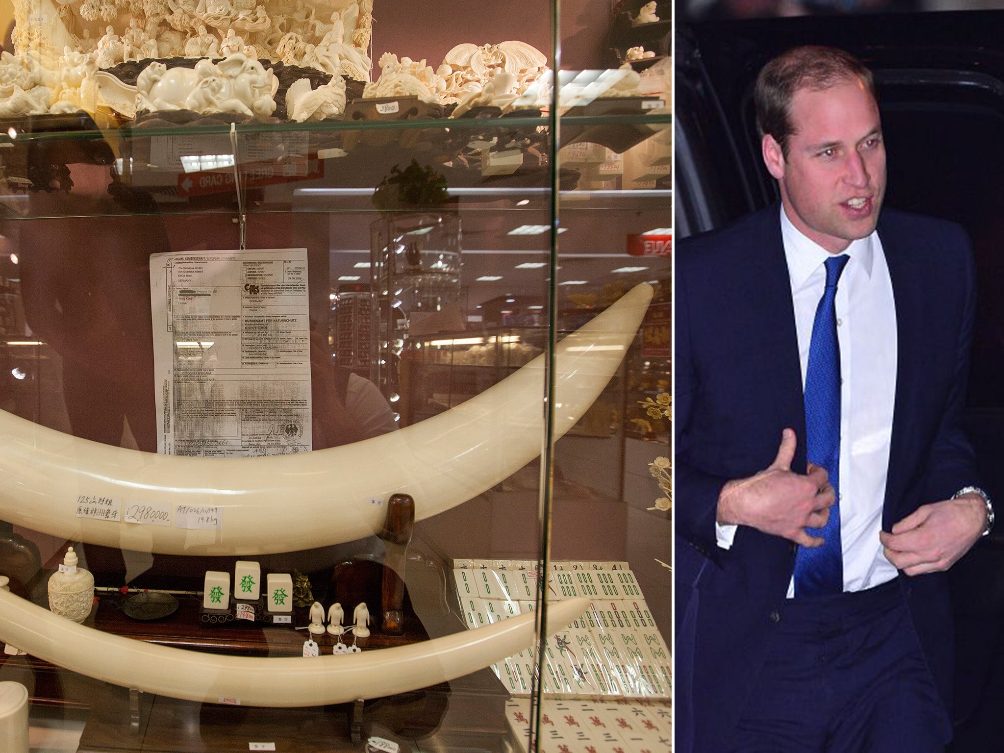 Prince William will attack China’s ivory industry by saying it is fuelling the slaughter of elephants and other animals by poachers