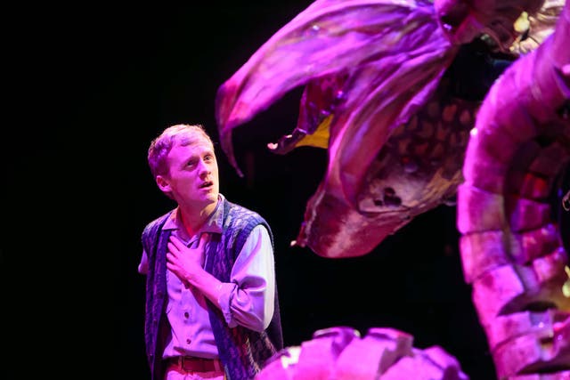 Don't eat the plants! Gunnar Cauthery as Seymour Krelborn in Little Shop of Horrors