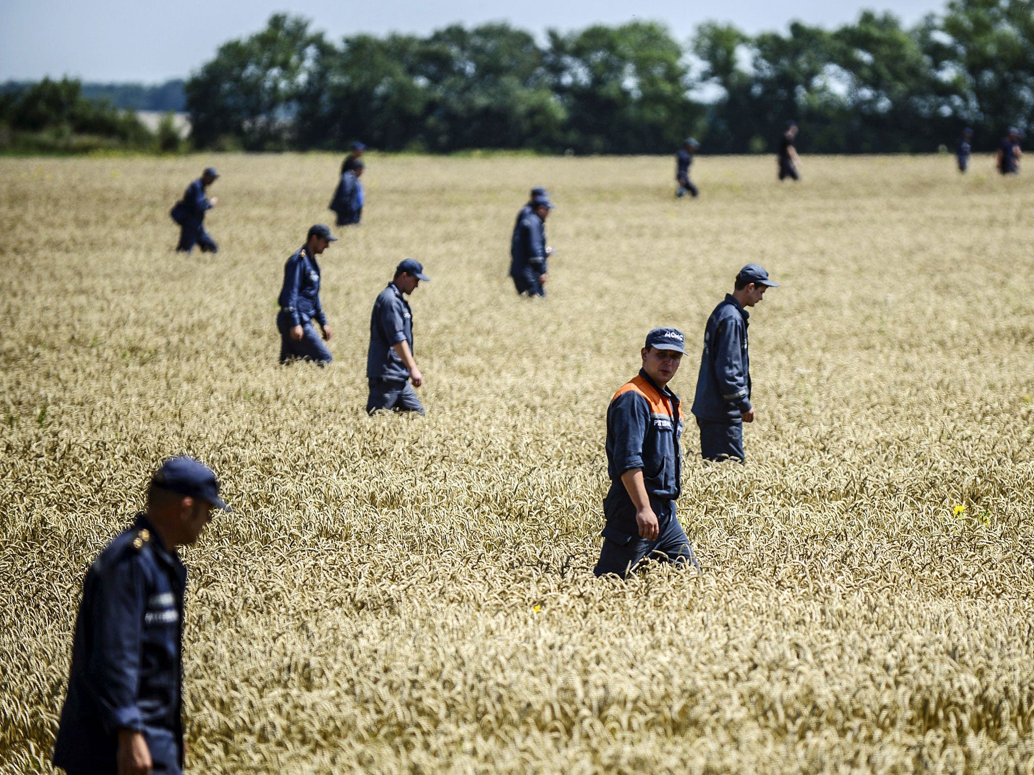 Members of the Ukrainian State Emergency Service search for bodies in a field near the crash site of the Malaysia Airlines Flight MH17 near the village of Hrabove (Grabove), in Donetsk region