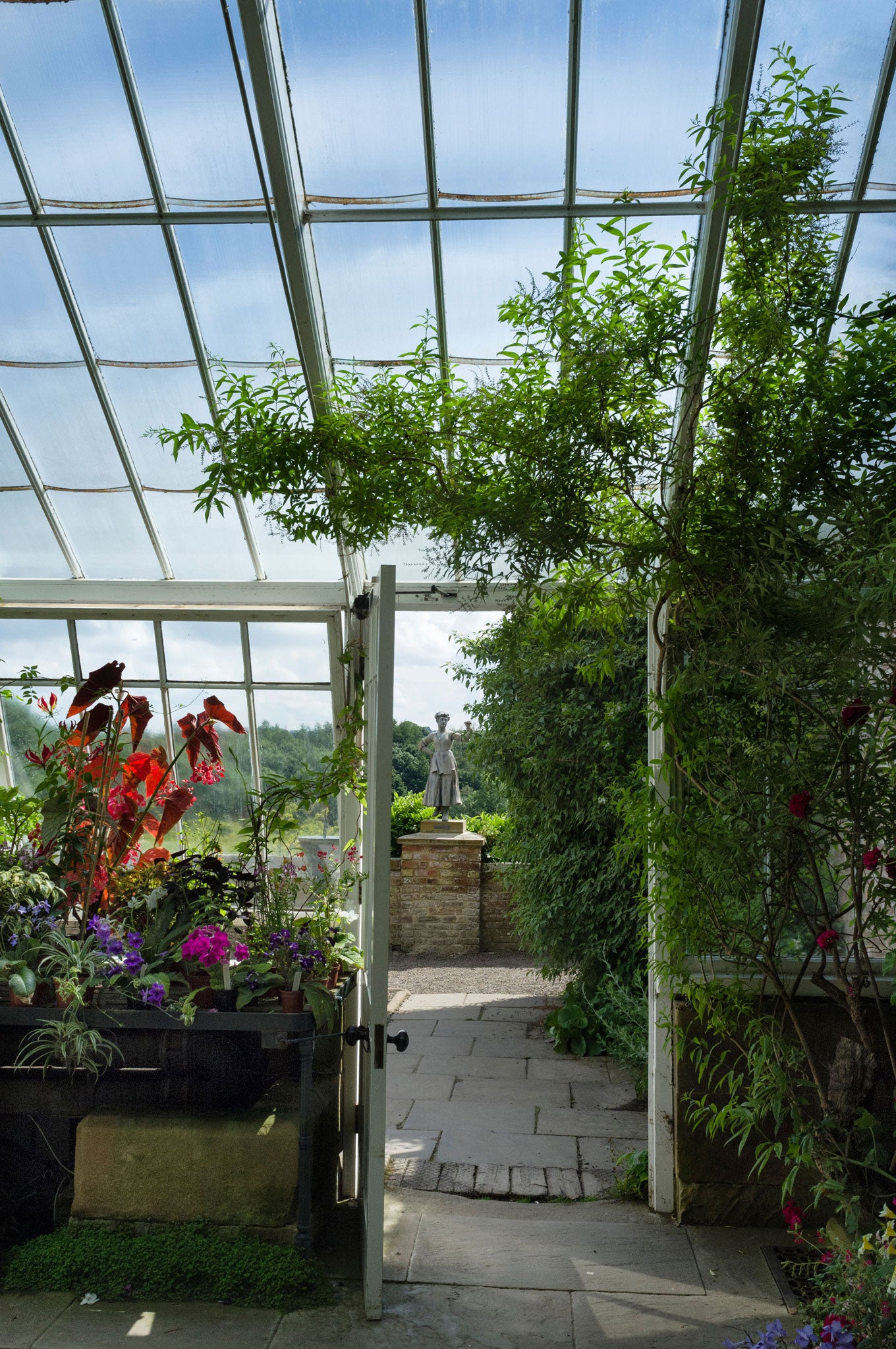 The lean-to conservatory at Wallington