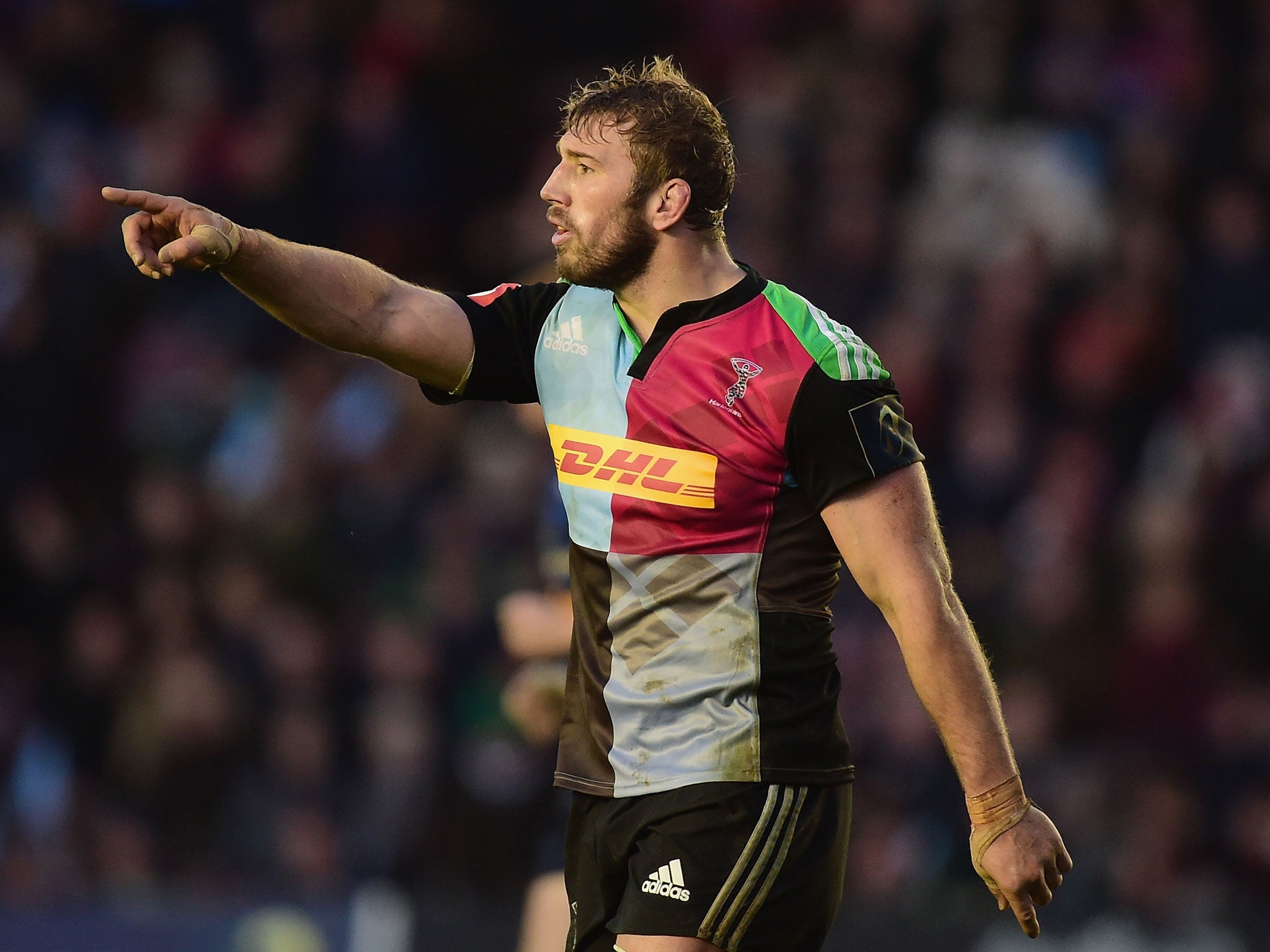 Chris Robshaw has been ruled out for up to four weeks with a should injury