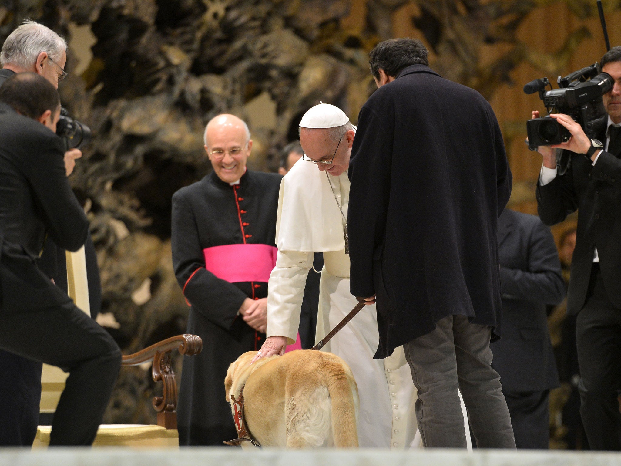 Pope Francis says animals might go to heaven