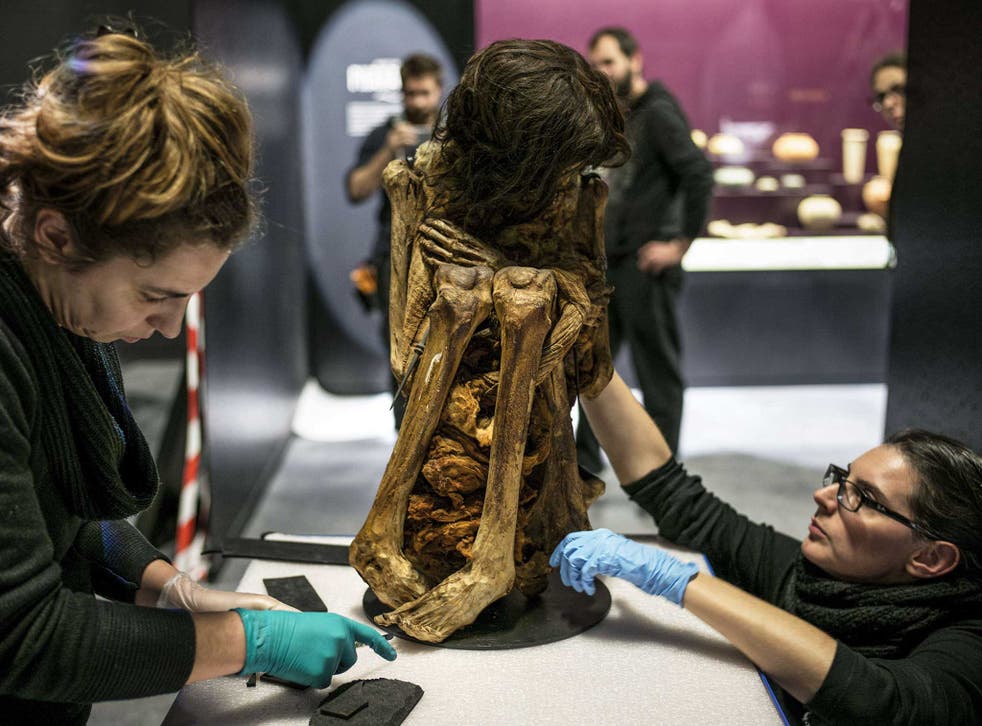 The mummy is prepared by museum workers
