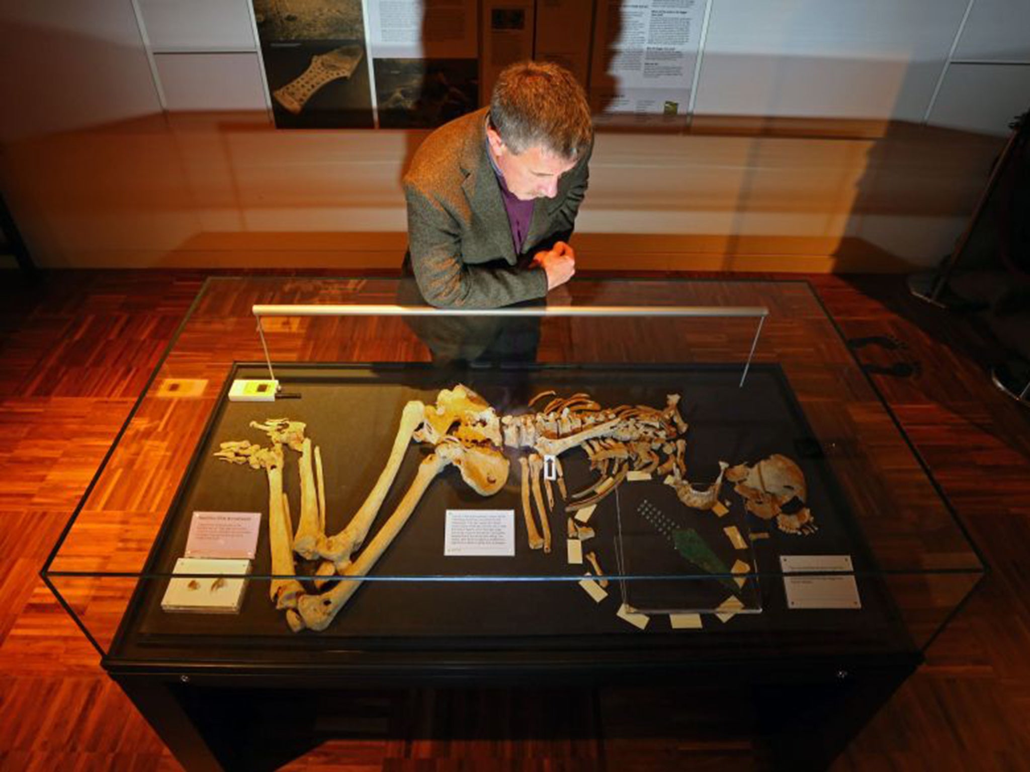 James Kenny, the archaeologist who discovered Racton Man, studies his remains at the Novium Museum (PA)