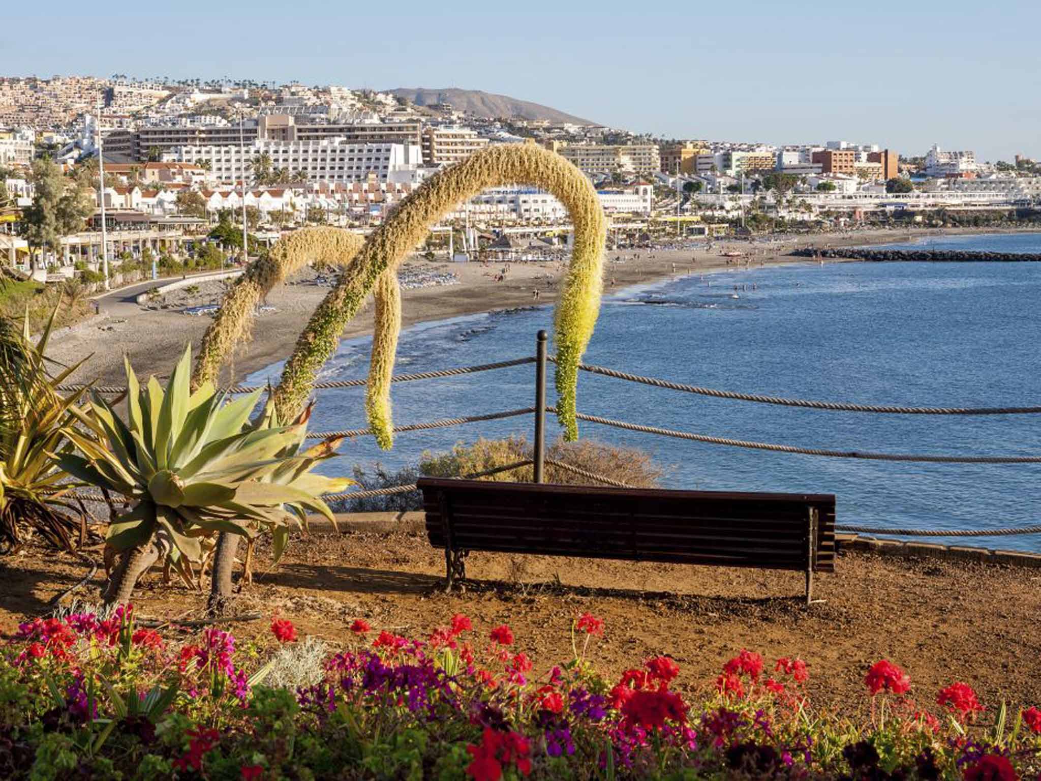 Costa little: Tenerife is good value this Christmas