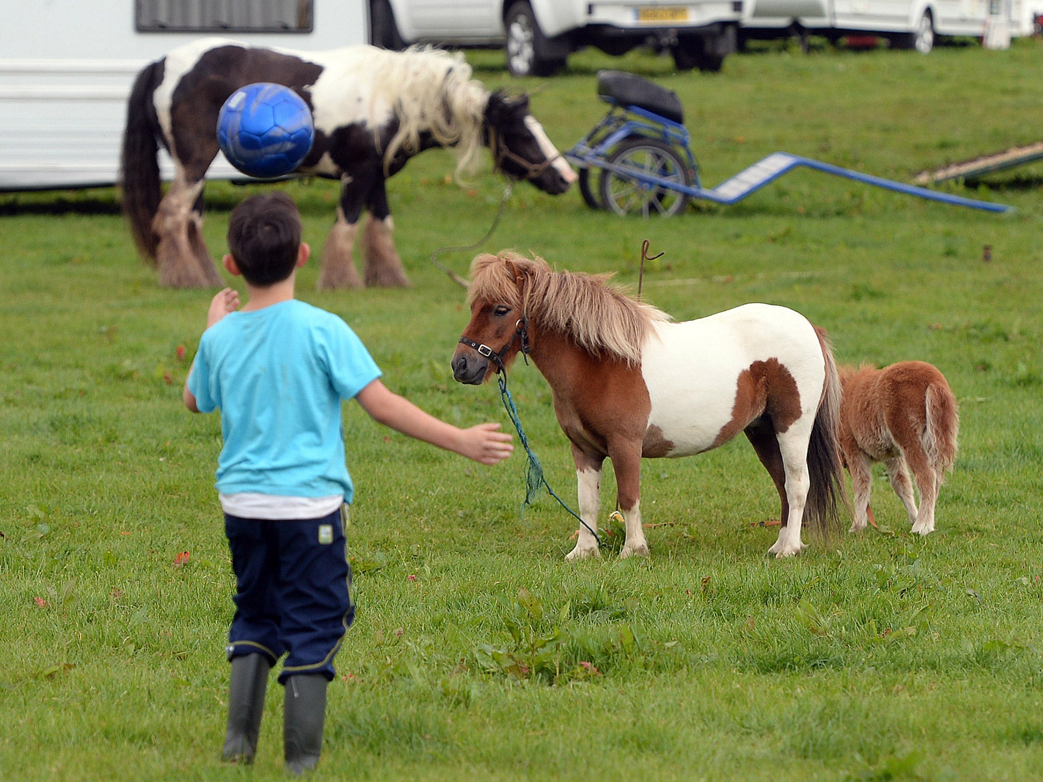 A child plays with a ball during the Appleby Horse Fair. The event is one of the key gathering points for the Romany, gypsy and traveling community