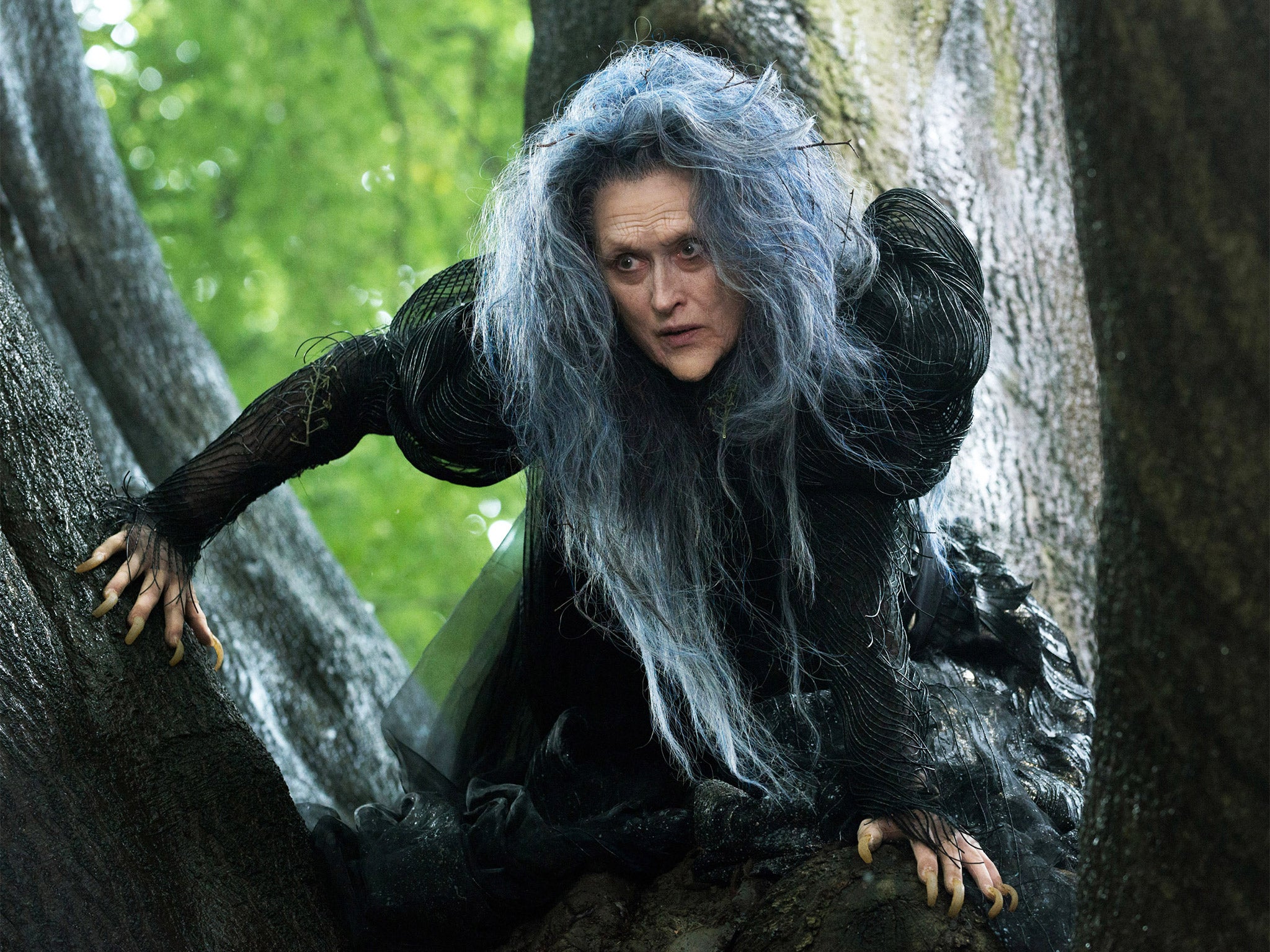 Meryl Streep is on top form as the Witch in Into the Woods