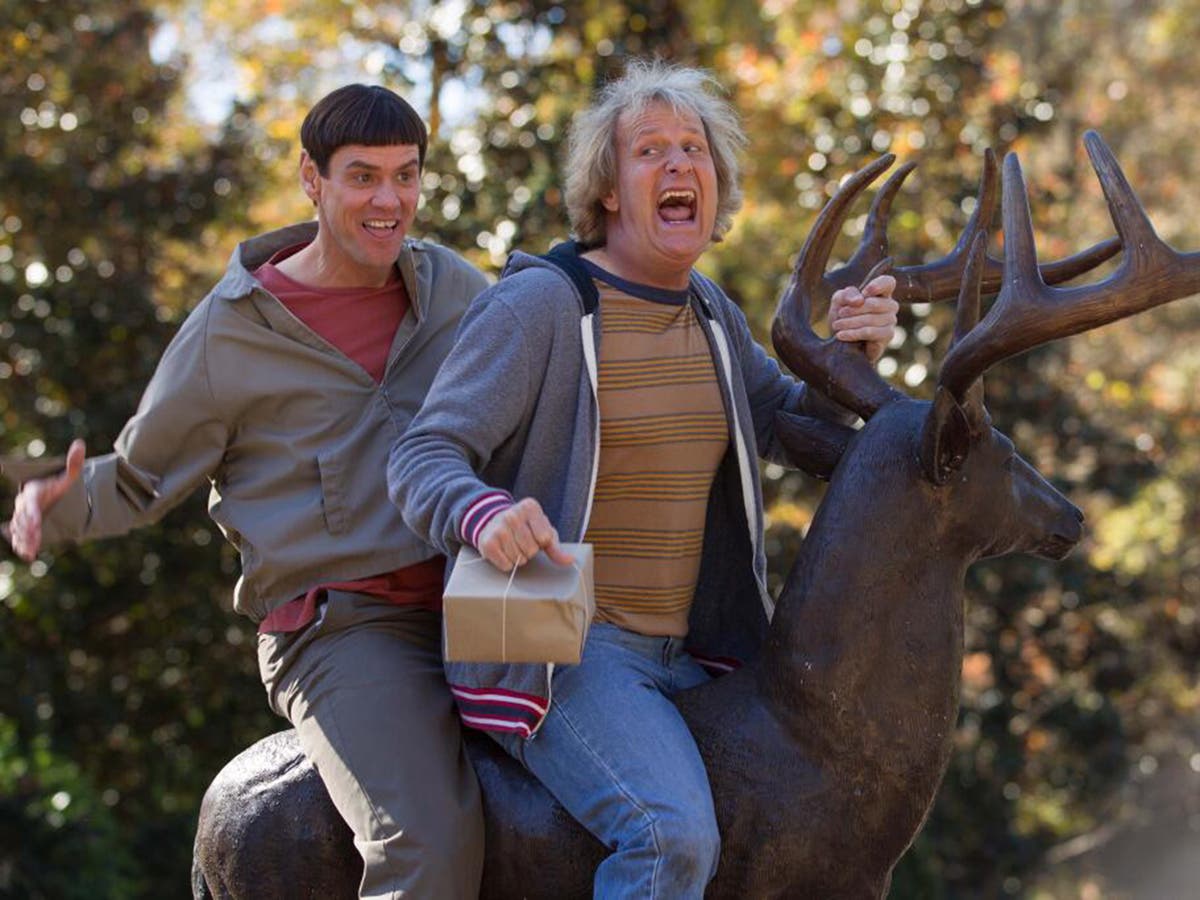 Dumb And Dumber To Movie Review This Revolting And Misogynistic Film Will Put You Off Your Popcorn The Independent The Independent