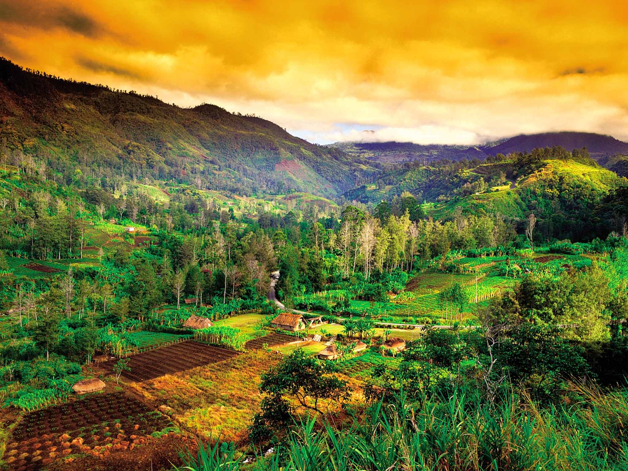 Trải nghiệm du lịch Papua New Guinea là một cơ hội tuyệt vời để khám phá những bí ẩn và điểm đến độc đáo của châu lục Úc. Từ những thị trấn nhỏ đến những vùng đất hoang sơ và nguyên thủy, bạn sẽ được trải nghiệm những điều thú vị và tuyệt vời nhất tại Papua New Guinea. Hãy để những hình ảnh và cảm nhận của các du khách trước đó truyền cảm hứng cho bạn!