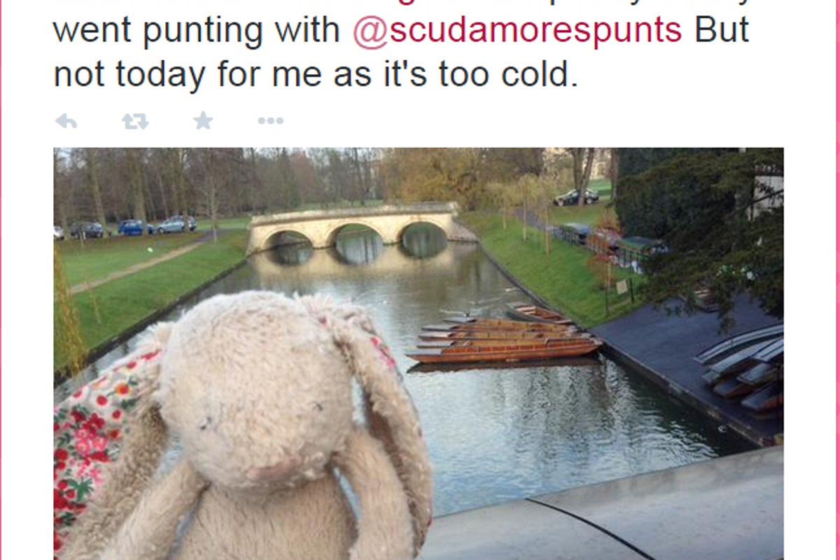 #lostrabbit: Cuddly bunny reunited with little girl after man who found ...