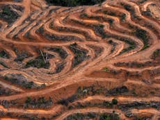 Amazon deforestation will make Britain's wet weather worse