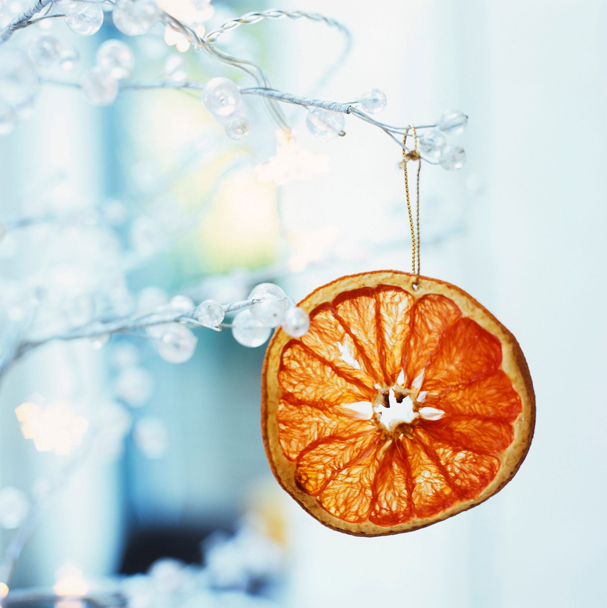 Orange slices can make pretty tree ornaments