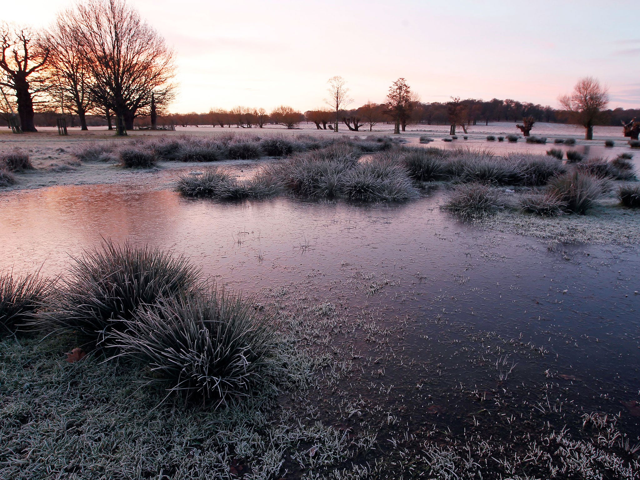 Ice and frost covers a lake in Richmond Park, south west London