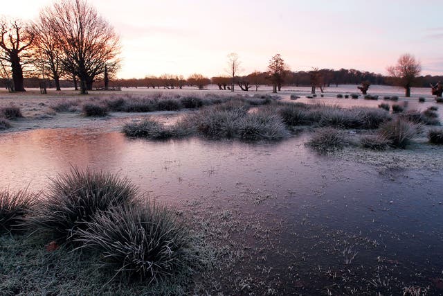 Ice covers a lake in Richmond Park, south west London 