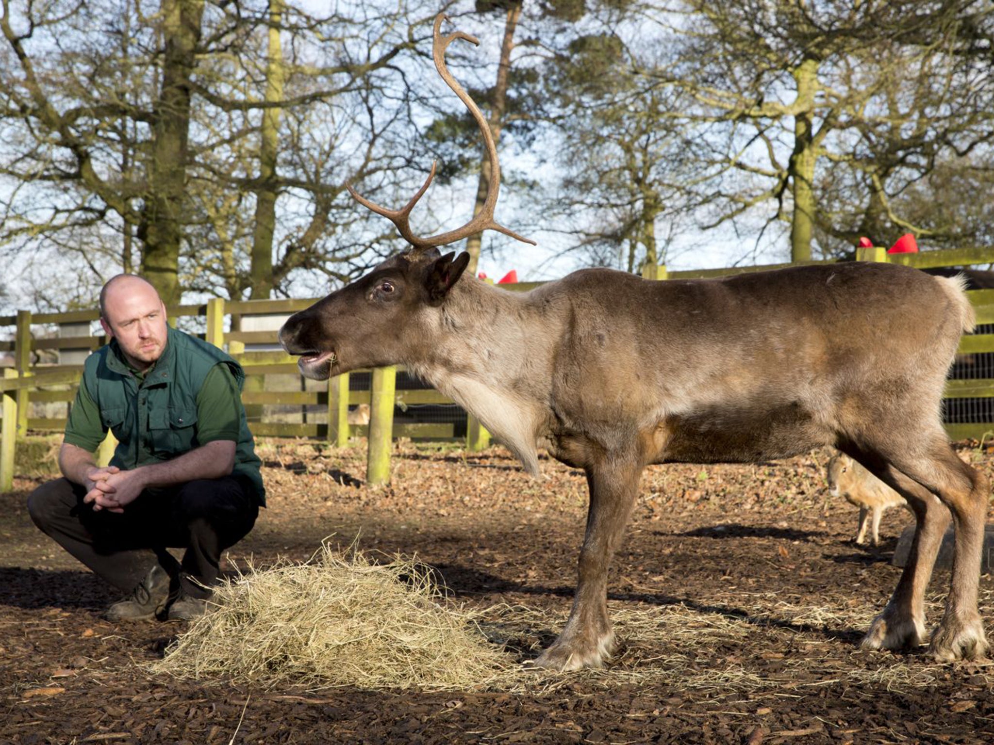 Stephen Perry, 38, zookeeper, ZSL Whipsnade Zoo, Bedfordshire