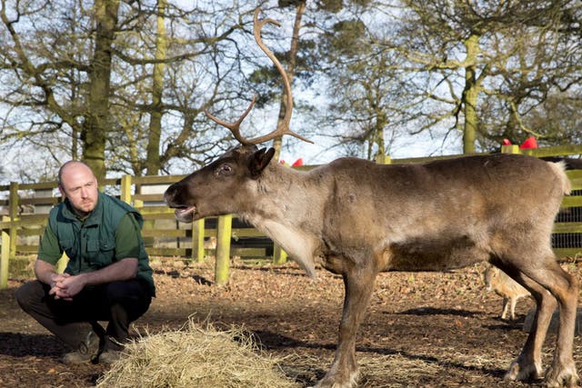Stephen Perry, 38, zookeeper, ZSL Whipsnade Zoo, Bedfordshire