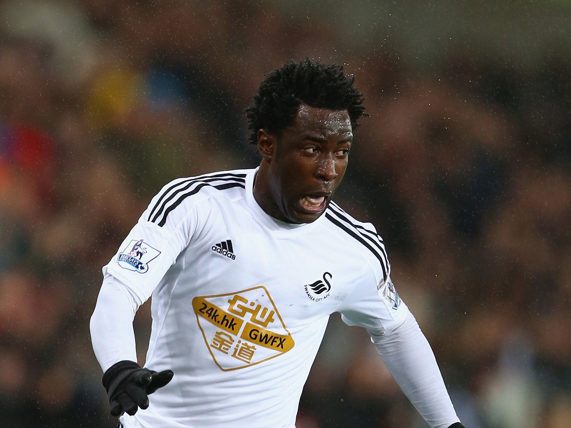 Wilfried Bony is unlikely to leave Swansea in January