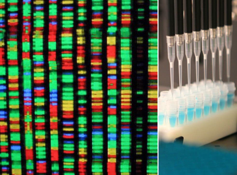 A code showing part of a human DNA sequence, which holds the key to targeted medicine