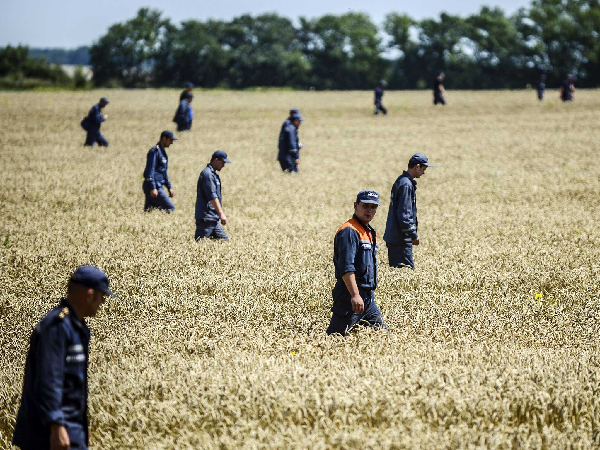 Members of the Ukrainian State Emergency Service search for bodies in a field near the crash site of the Malaysia Airlines Flight MH17 near the village of Hrabove (Grabove), in Donetsk region on July 26, 2014.