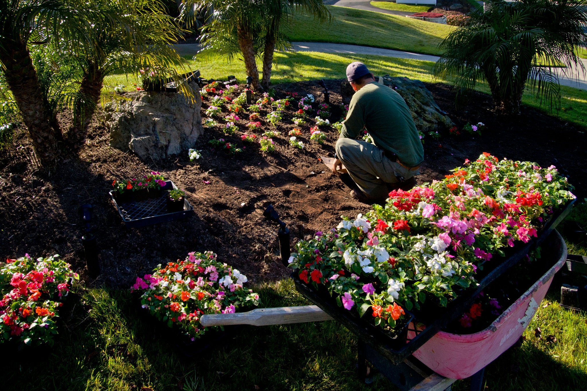 Gardeners scored high in the Government's happiness survey
