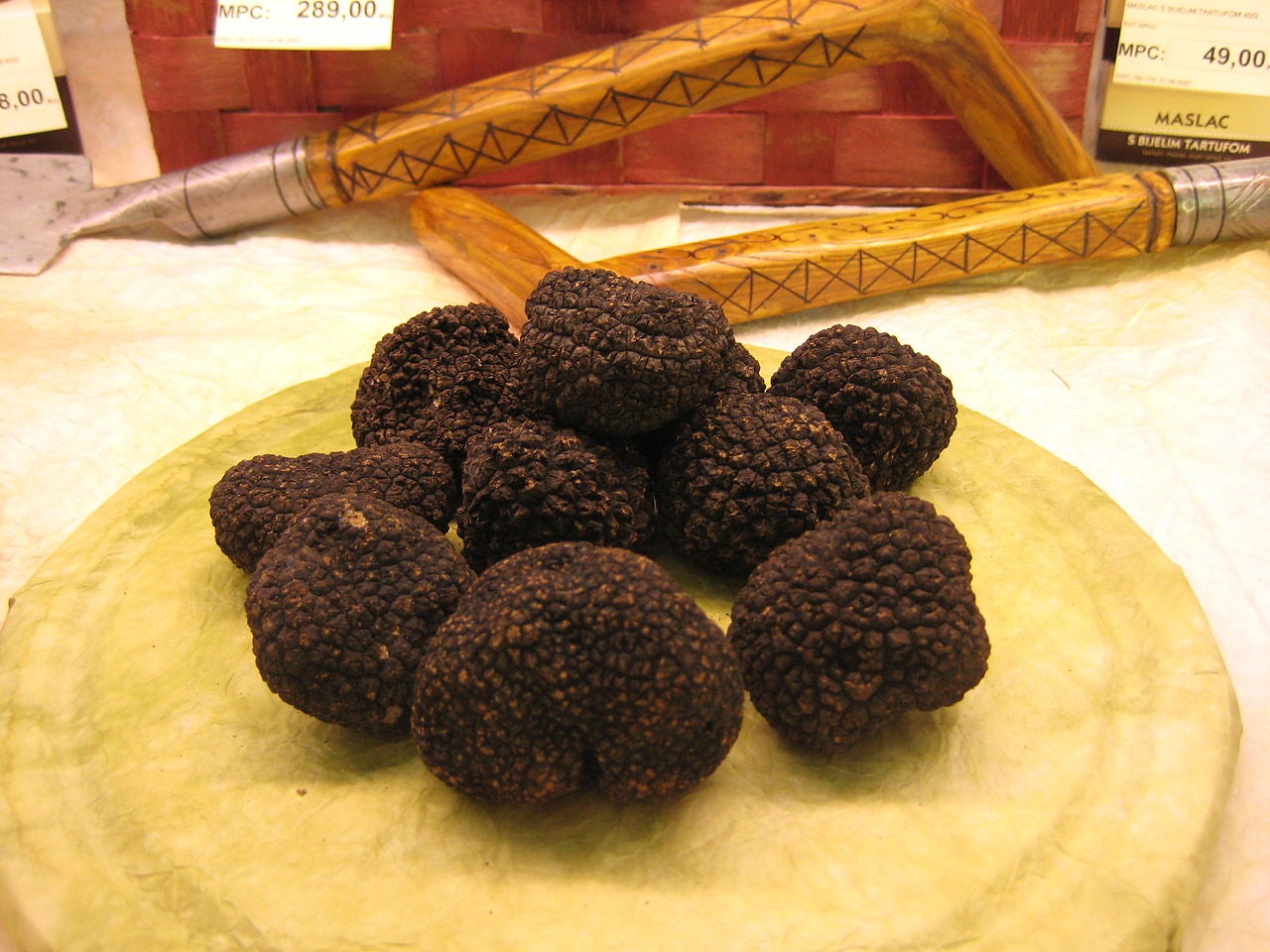 Black truffles have been found to have molecules similar to THC in cannabis