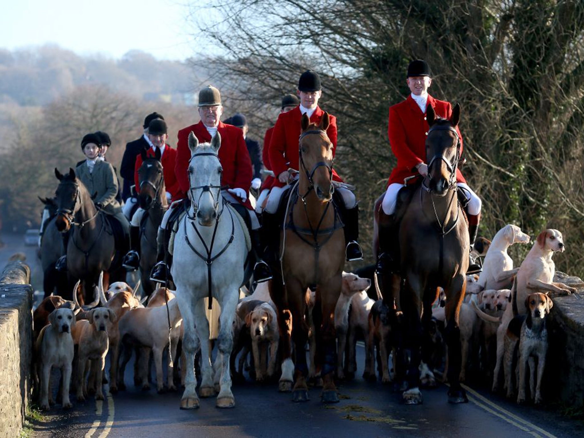 The legal Avon Vale Hunt in Wiltshire on Boxing Day last year