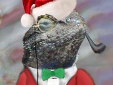 Read more

Lizard Squad 'takes down' National Crime Agency website following