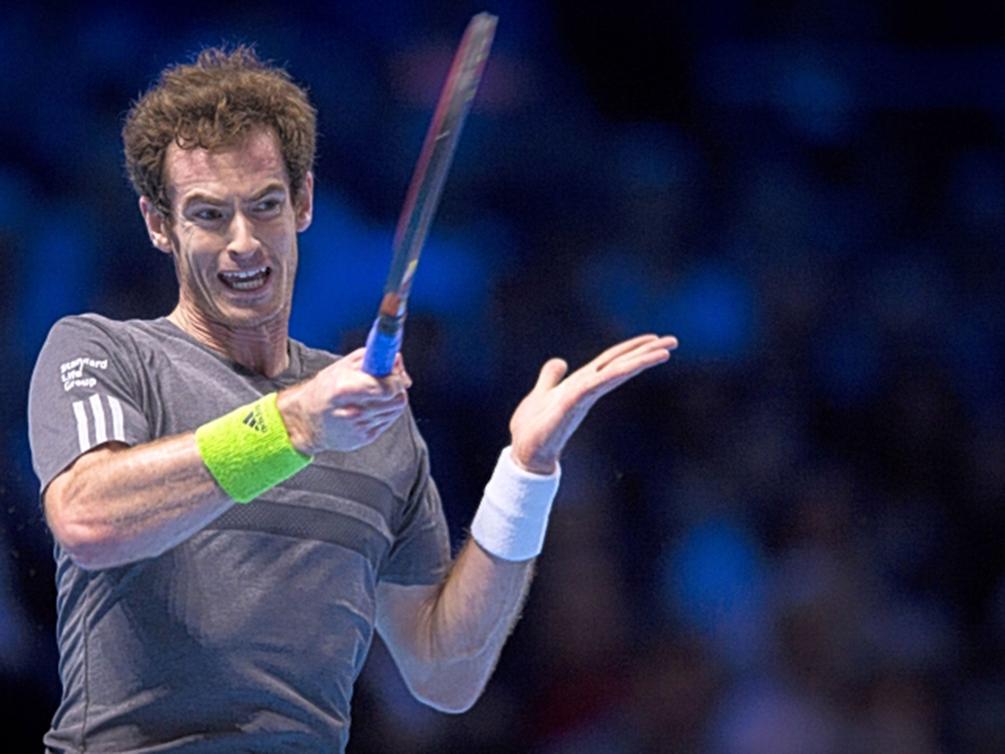Hitting back: Murray has high hopes of returning to peak form in 2015