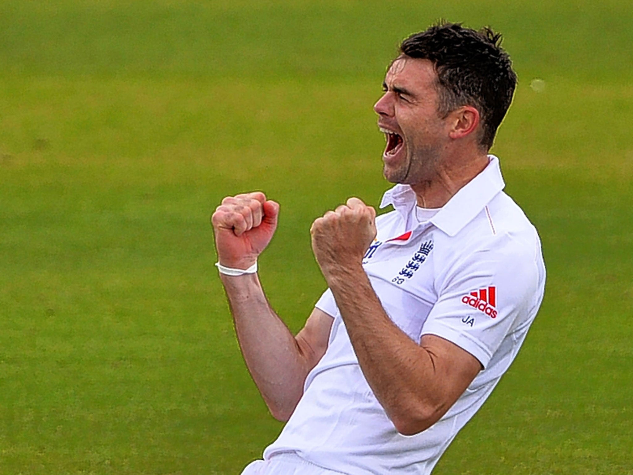 Fighter if fit: An injury-free James Anderson is vital for England in 2015