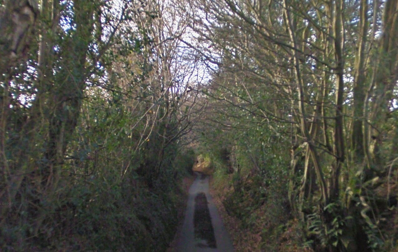Furnace Lane, near Horam, where the accident happened