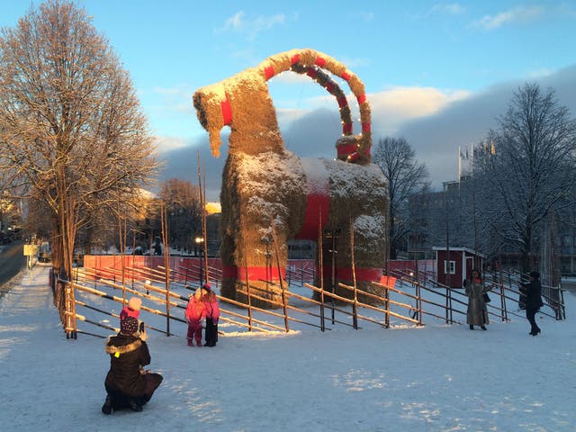 The Christmas goat in Gavle, Sweden, made it until Christmas without being burnt down for the first time in years. 