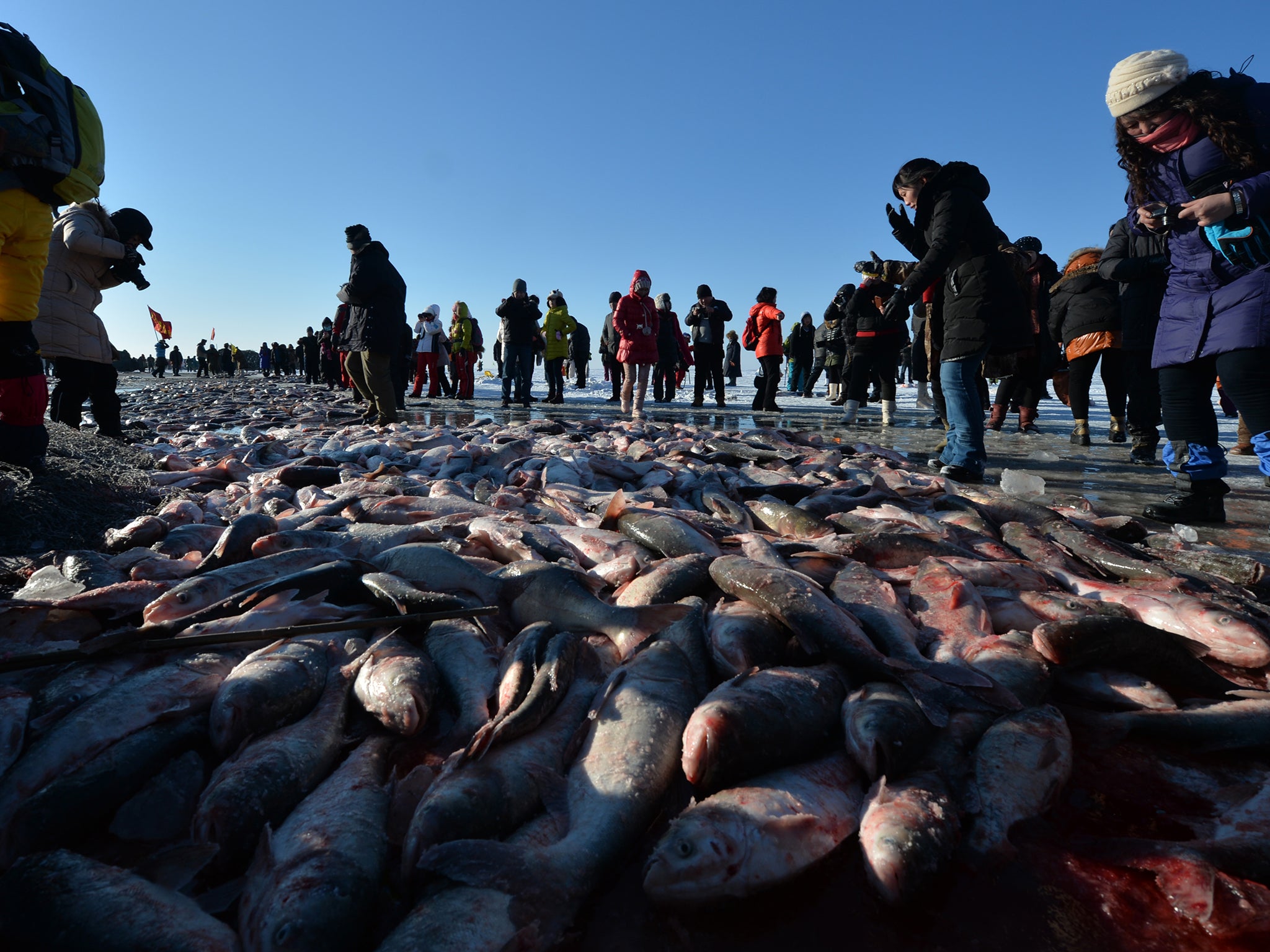 Chinese tourists come to buy fish at Chagan Lake in Jilin Province.