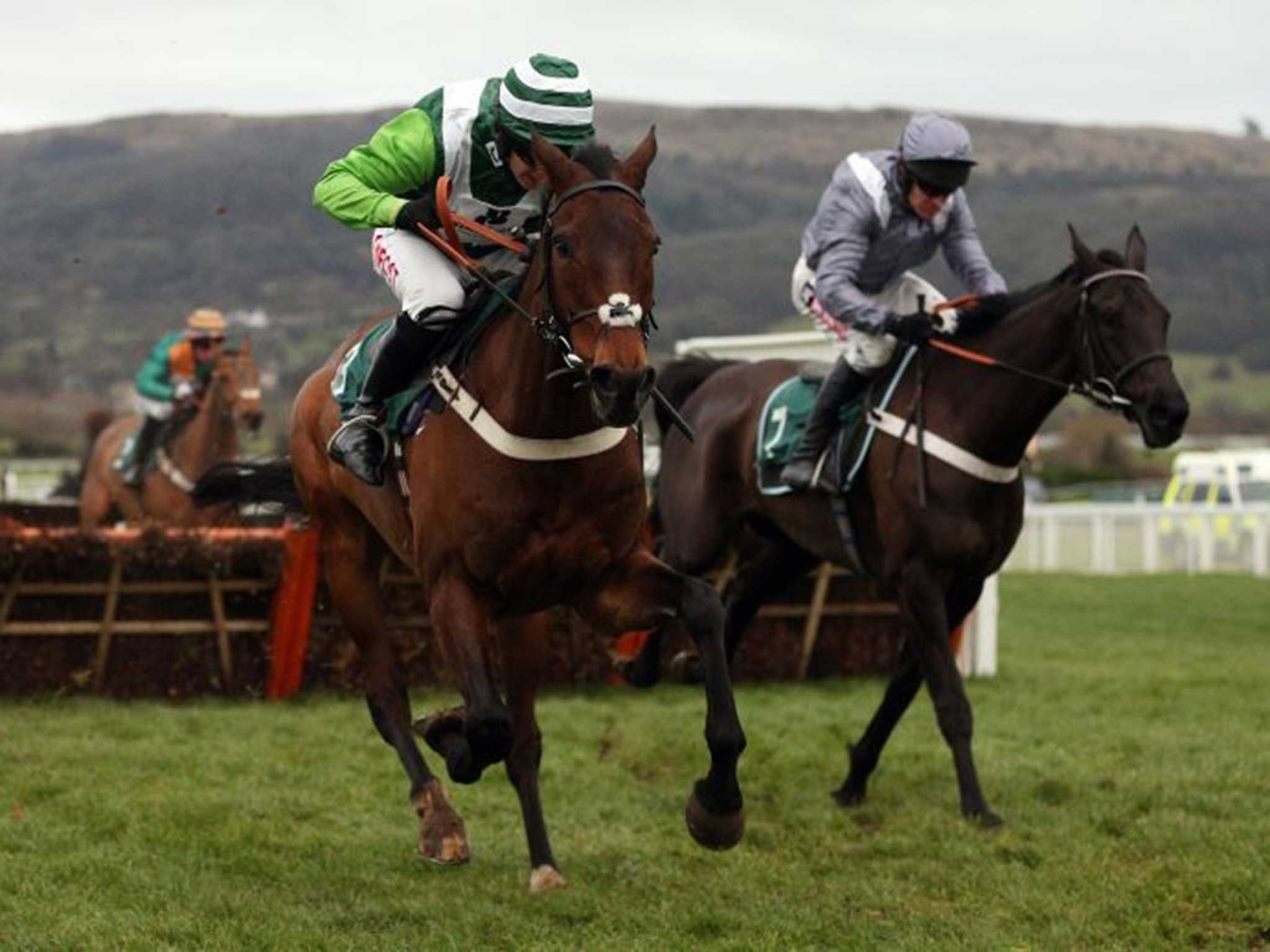 Rock on Ruby (left), ridden by Noel Fehily, is too strong up the hill for Vaniteux (Barry Geraghty) in the Dornan Engineering Hurdle at Cheltenham