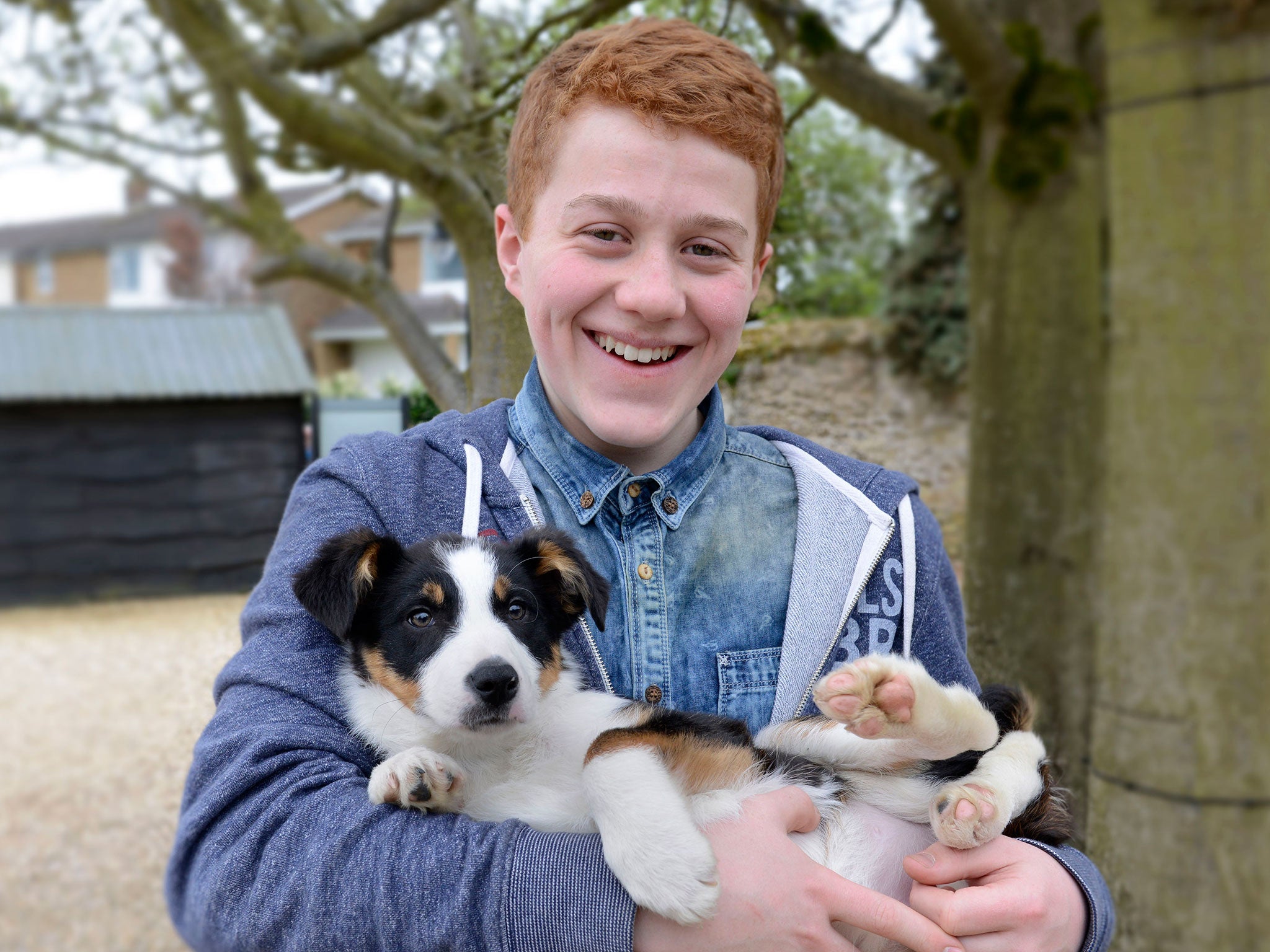 It's puppy love in BBC2's Six Puppies and Us