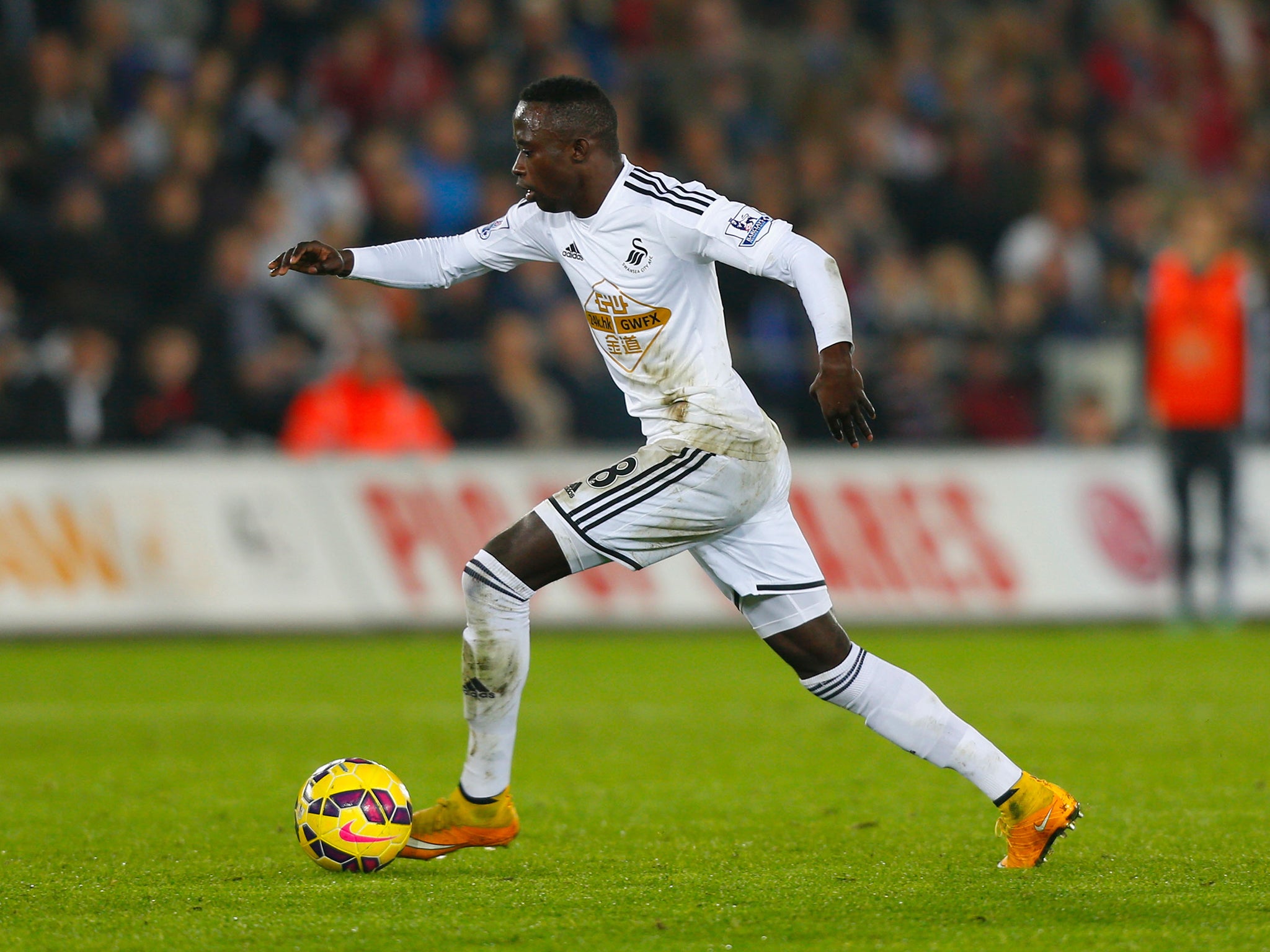 Swansea swift to prepare for life post Wilfried Bony after